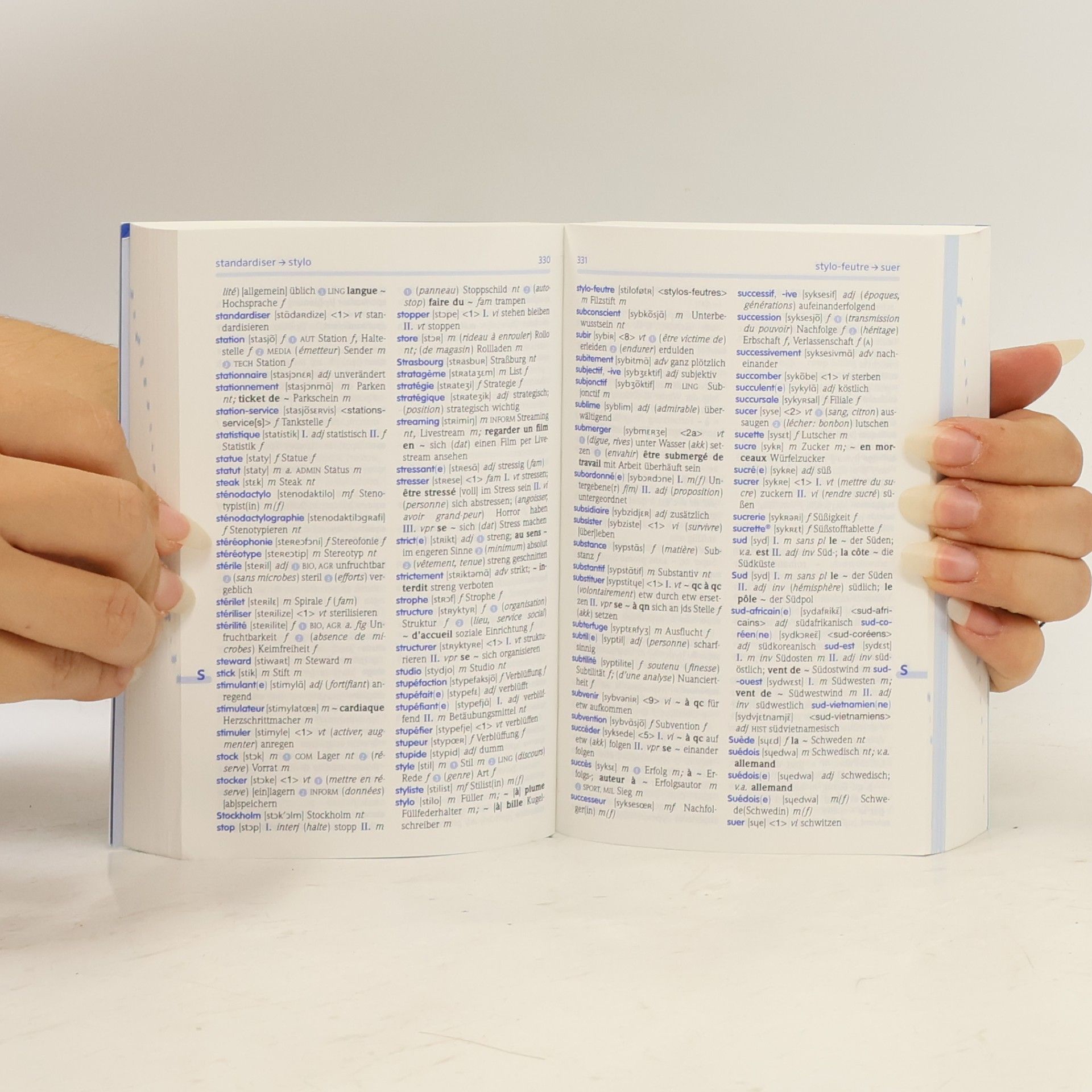 Basiswörterbuch Französisch