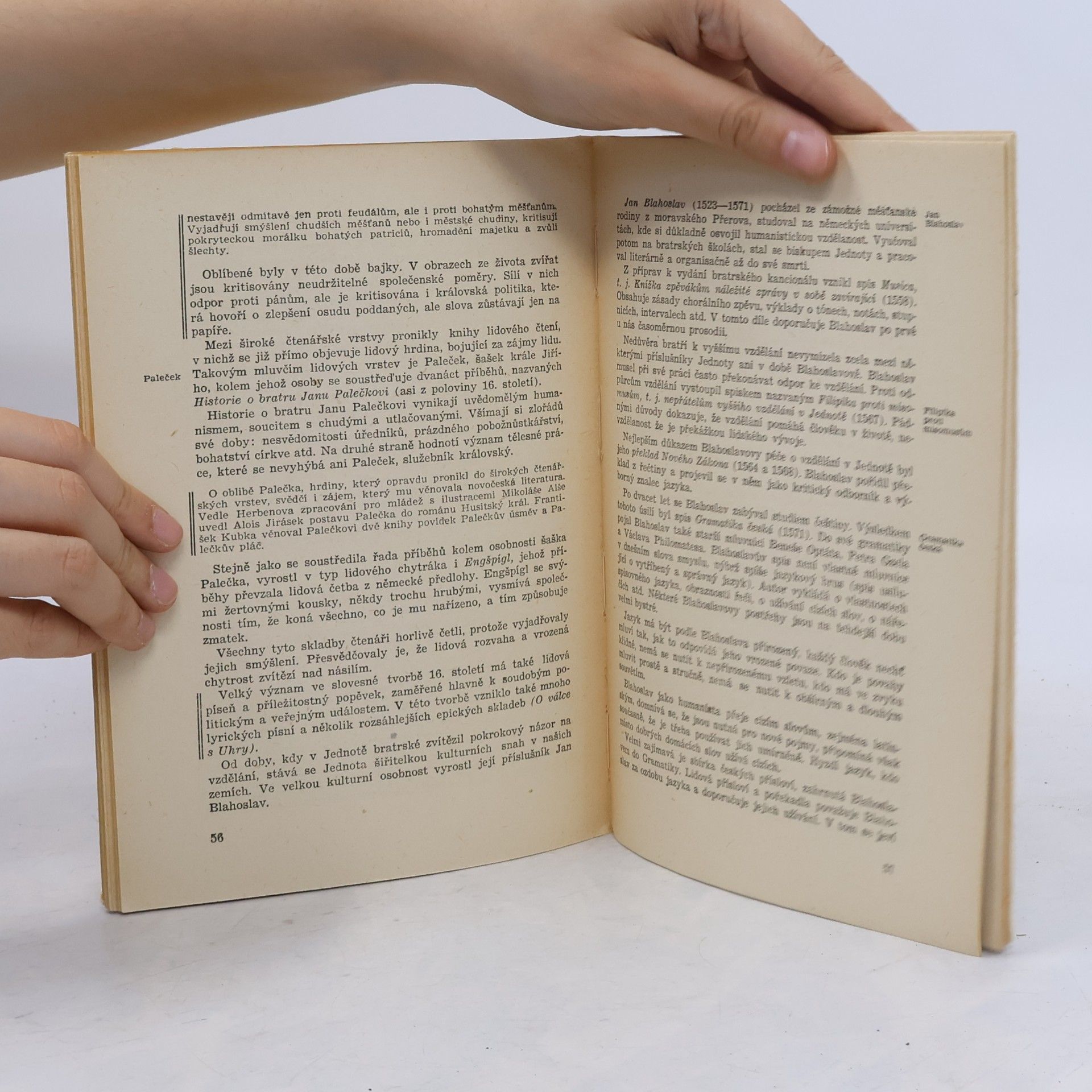 Bohuš Balajka Nástin dějin starší české literatury
