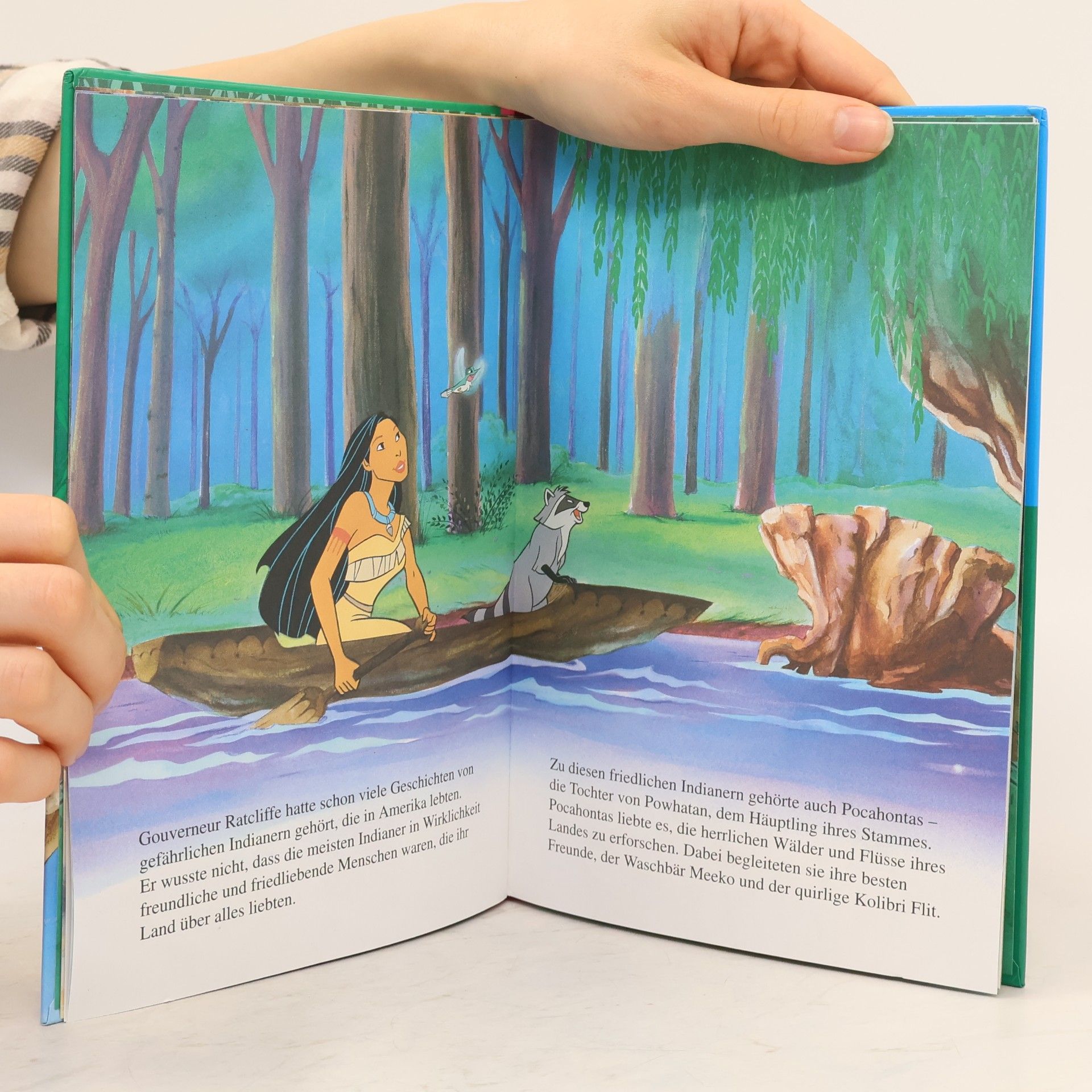 Walt Disney Pocahontas