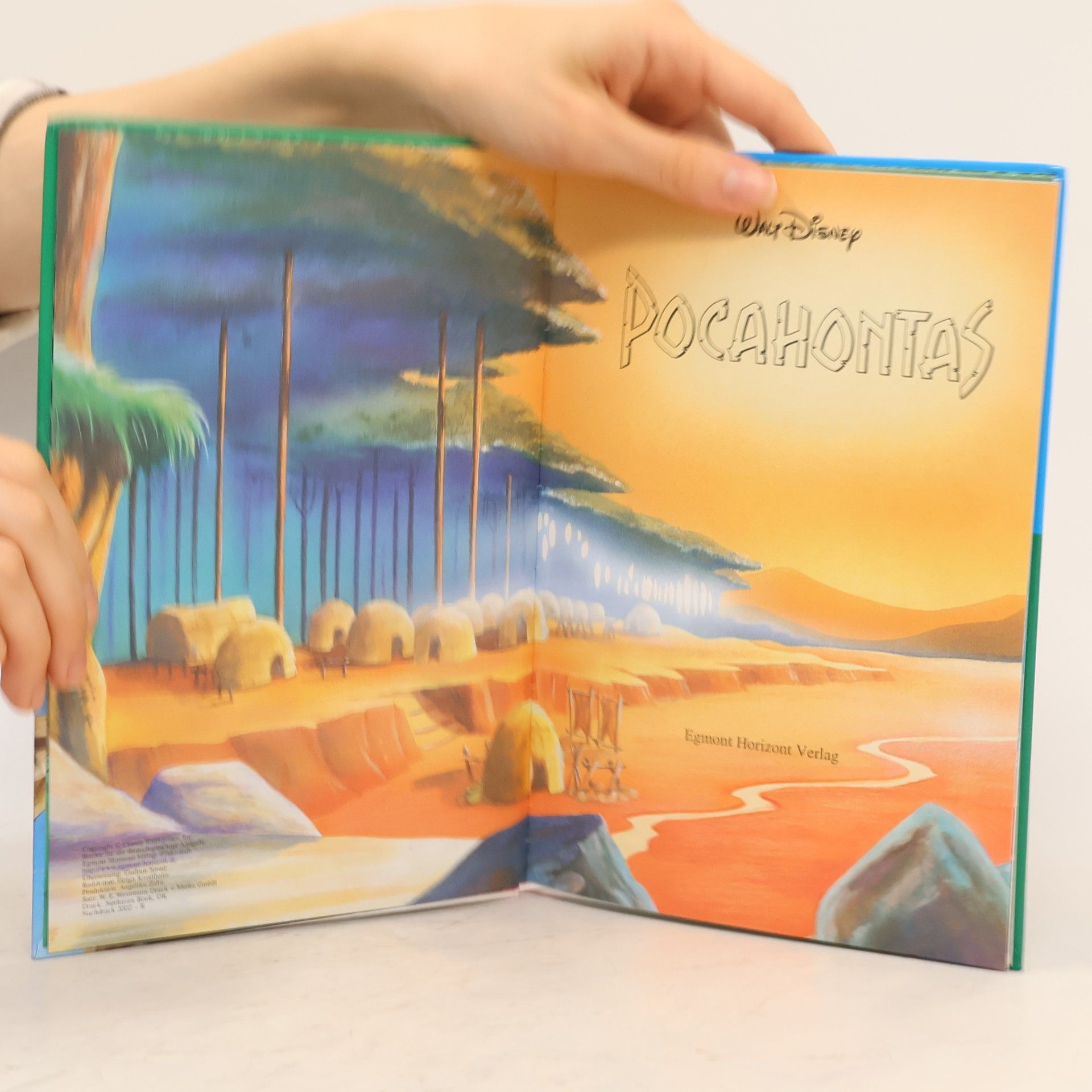 Walt Disney Pocahontas