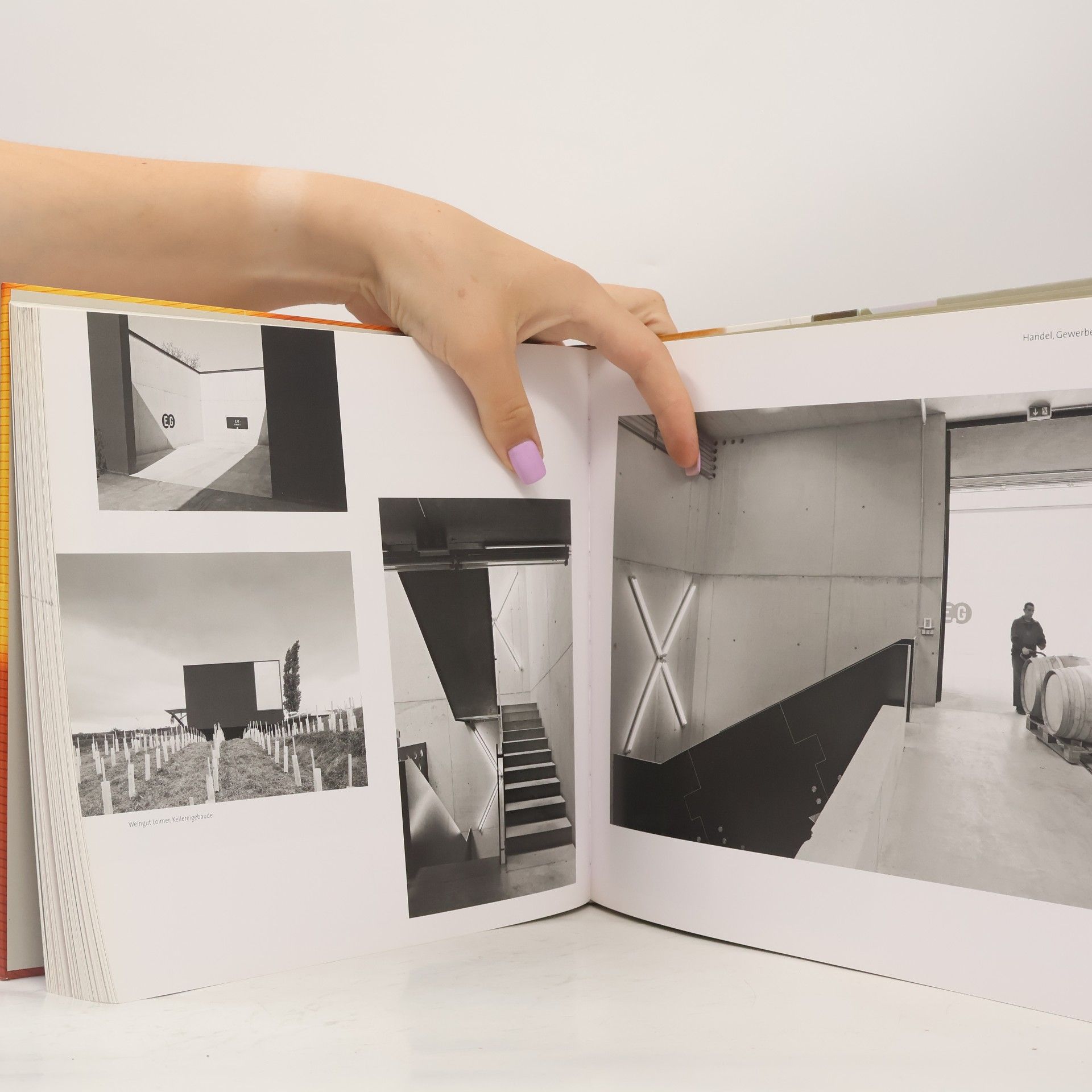 Eva Guttmann ORTE - 3: Architektur in Niederösterreich 2002-2010
