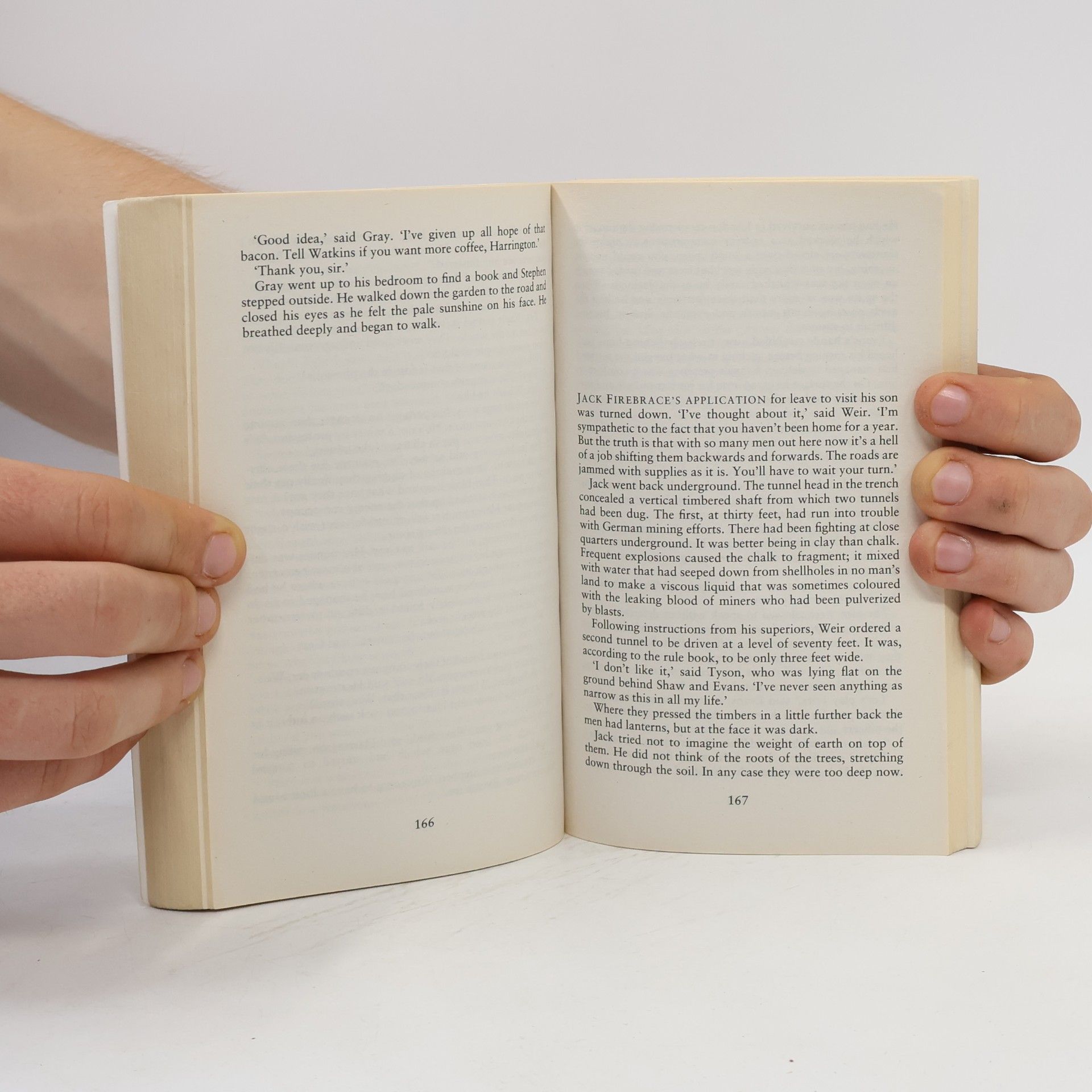 Sebastian Faulks Vintage War: Birdsong