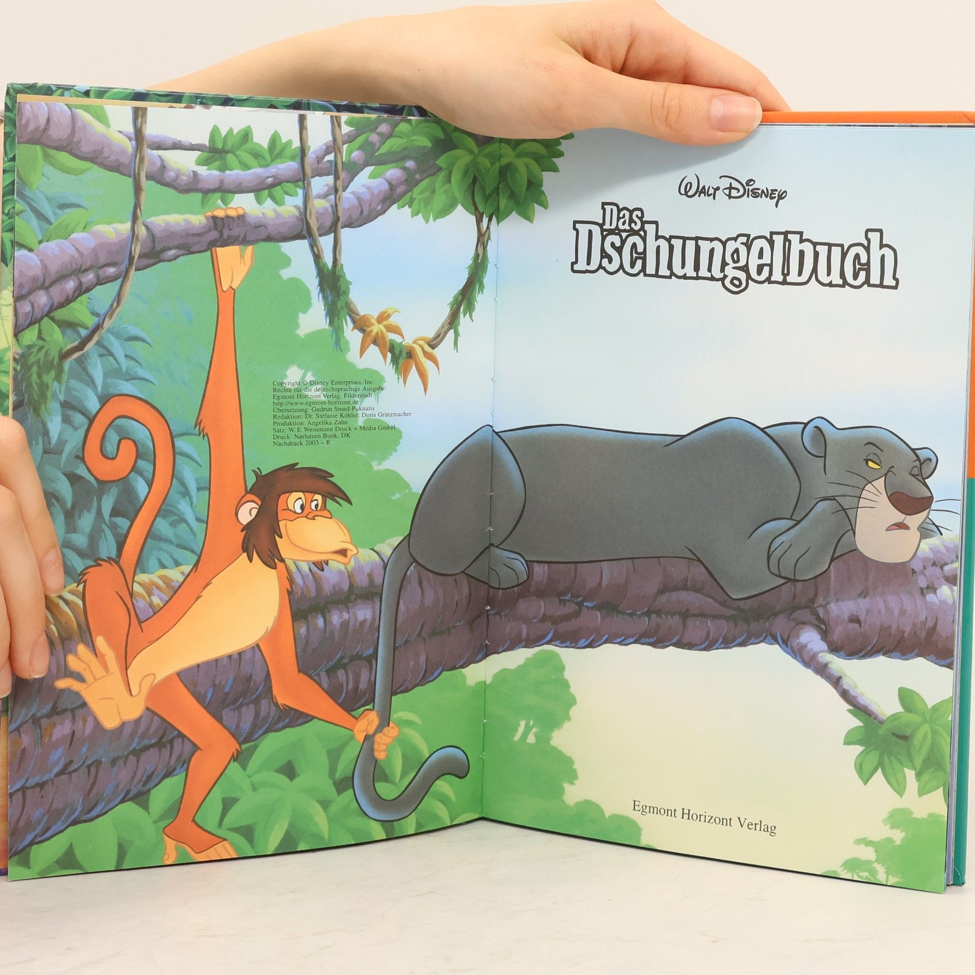 Walt Disney Das Dschungelbuch
