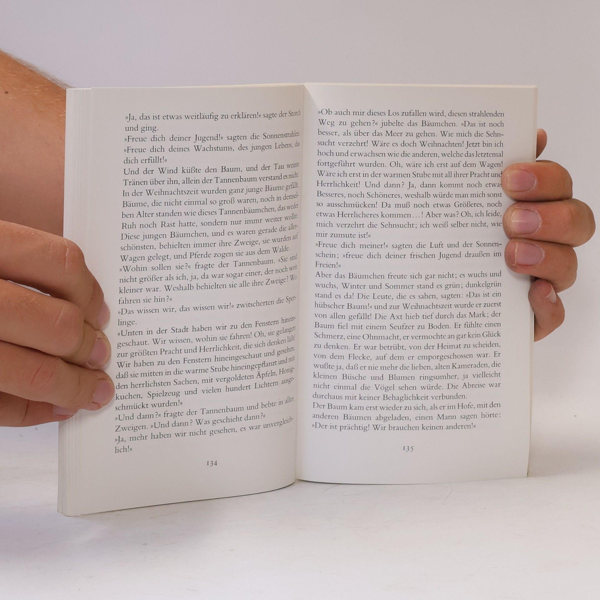 Elisabeth Borchers Weihnachtsbuch für Kinder