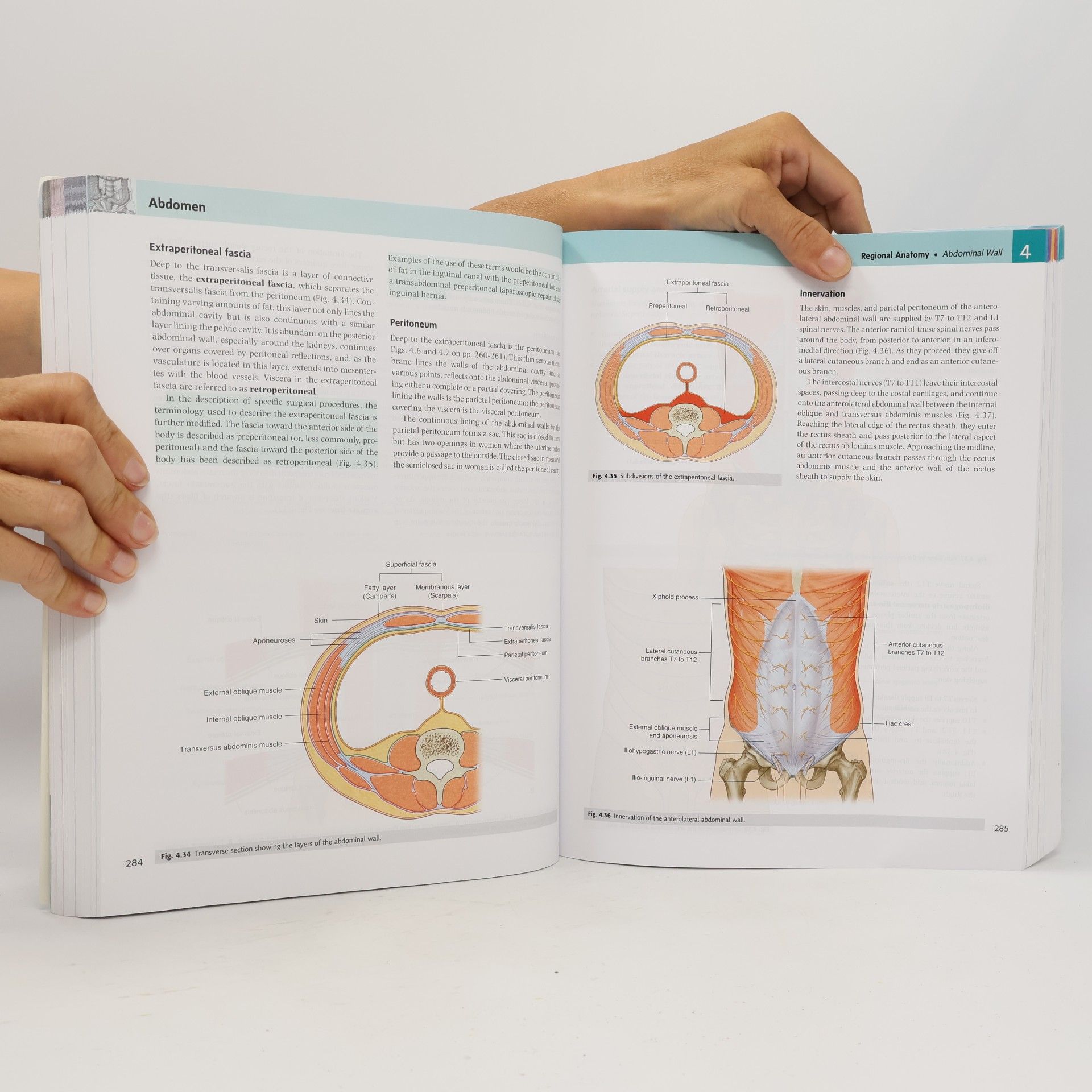 Autores varios Gray's anatomy for students