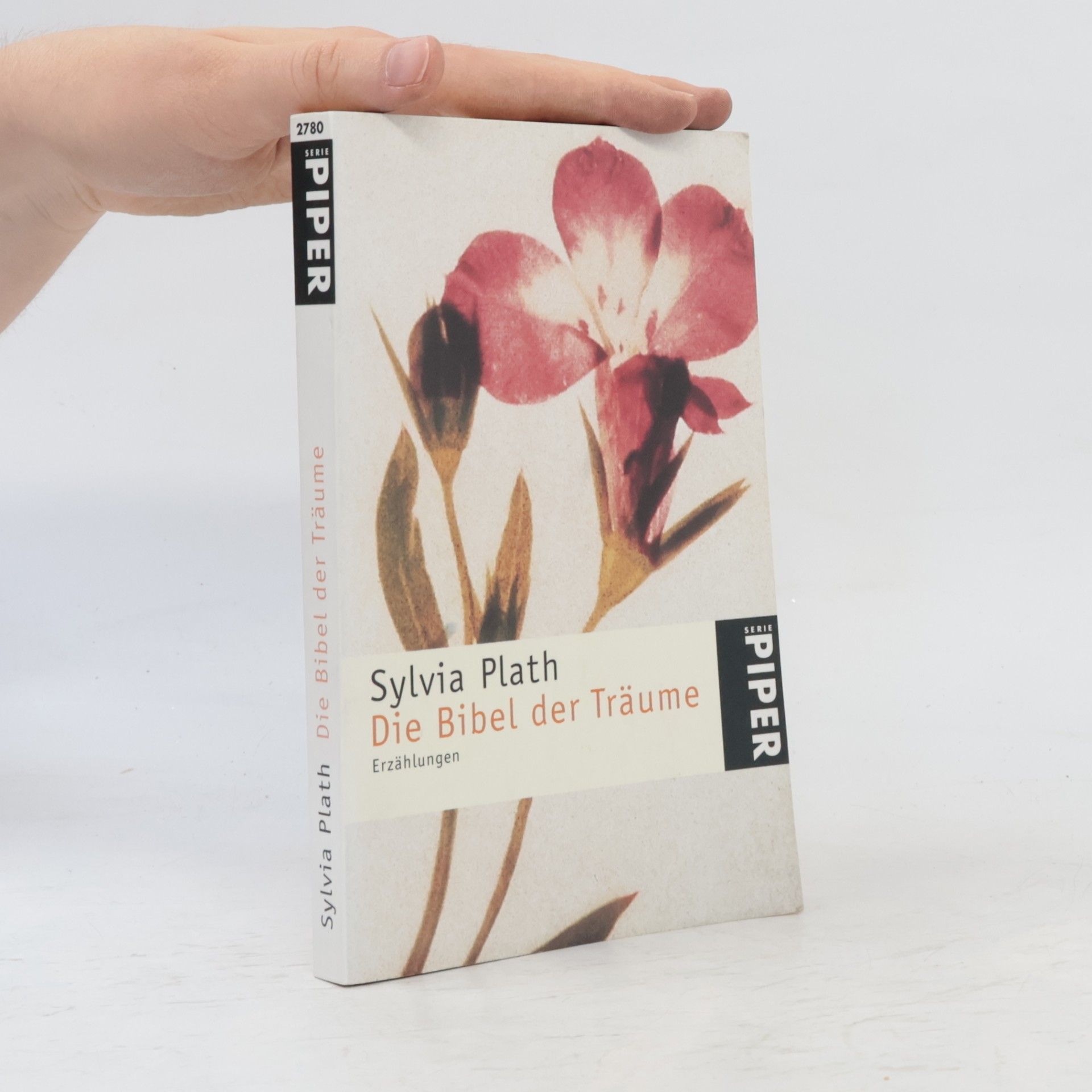 Sylvia Plath Die Bibel der Träume