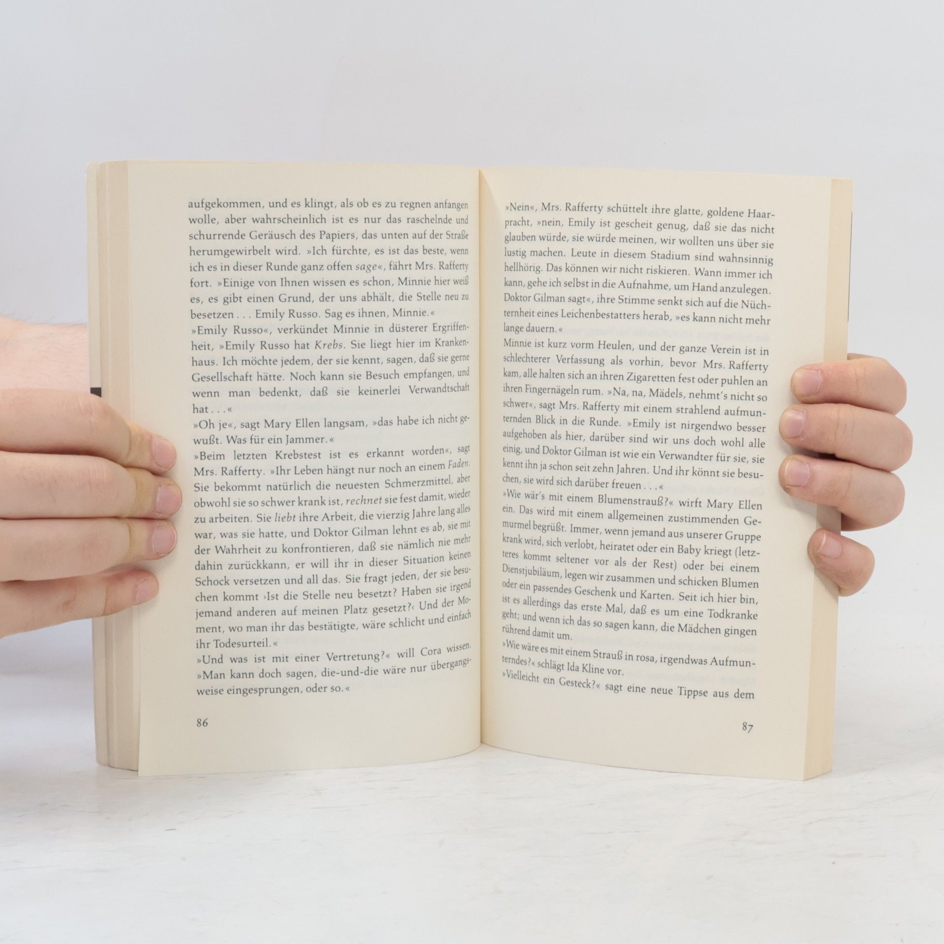 Sylvia Plath Die Bibel der Träume