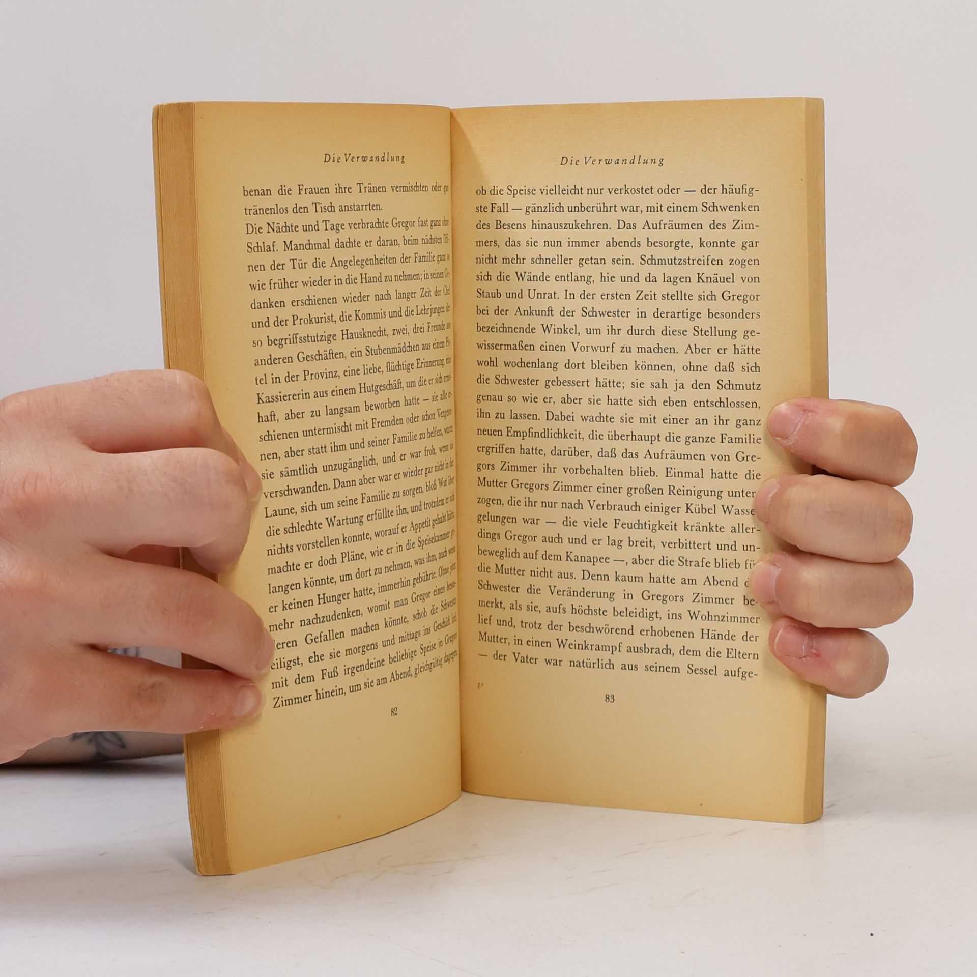 Franz Kafka Das Urteil
