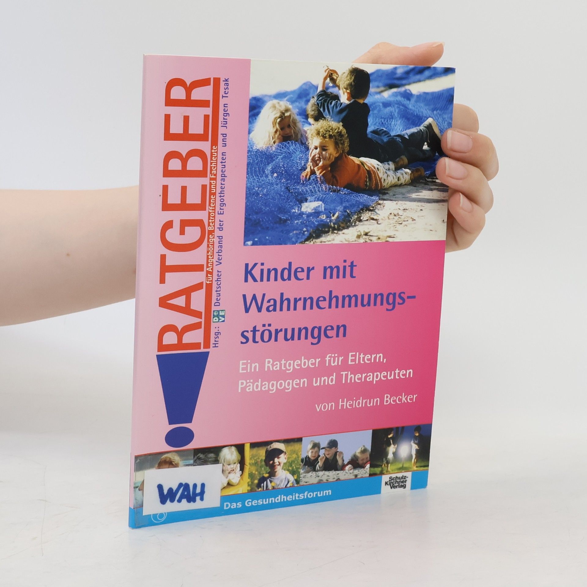 Ratgeber für Angehörige, Betroffene und Fachleute: Kinder mit Wahrnehmungsstörungen