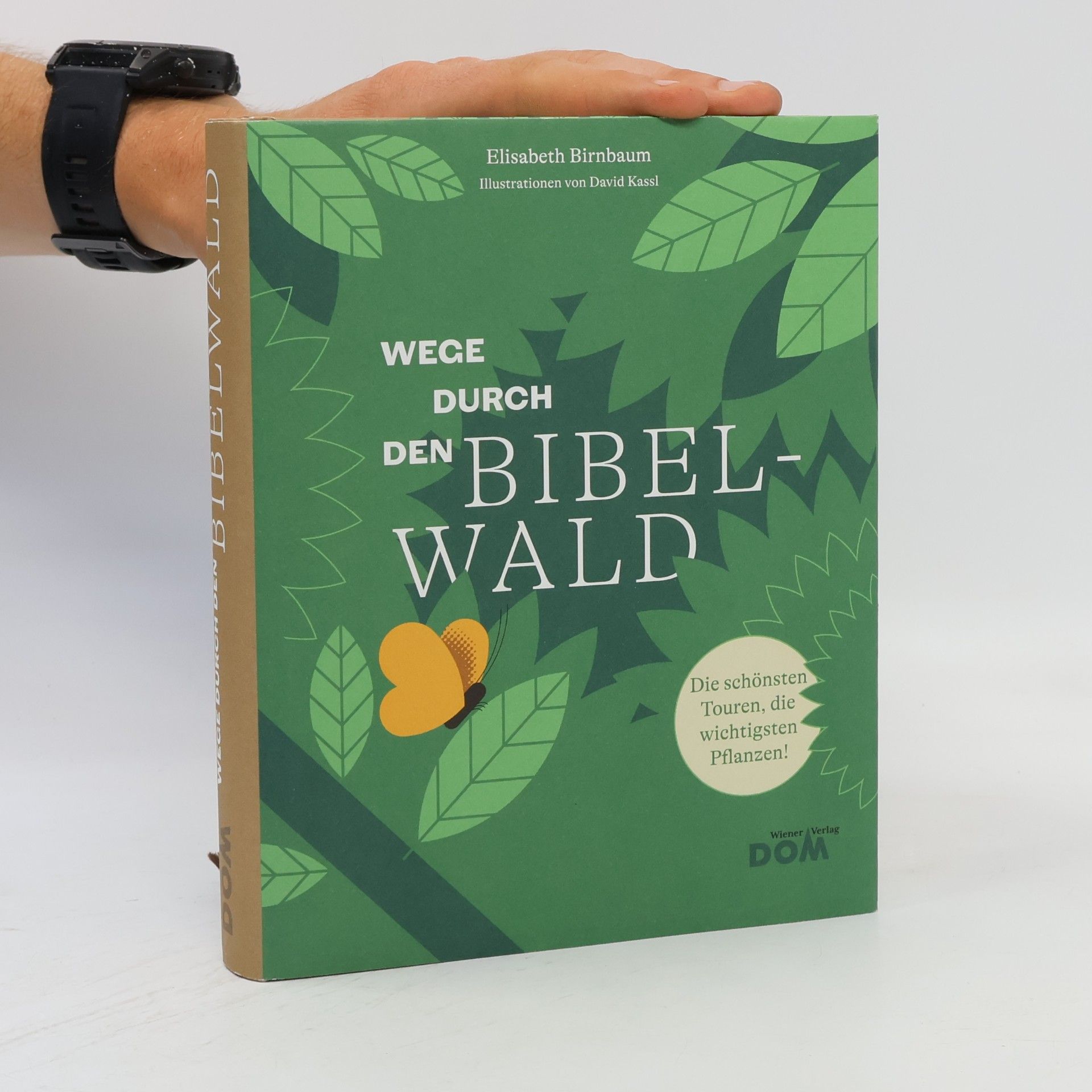 David Kassl Wege durch den Bibelwald