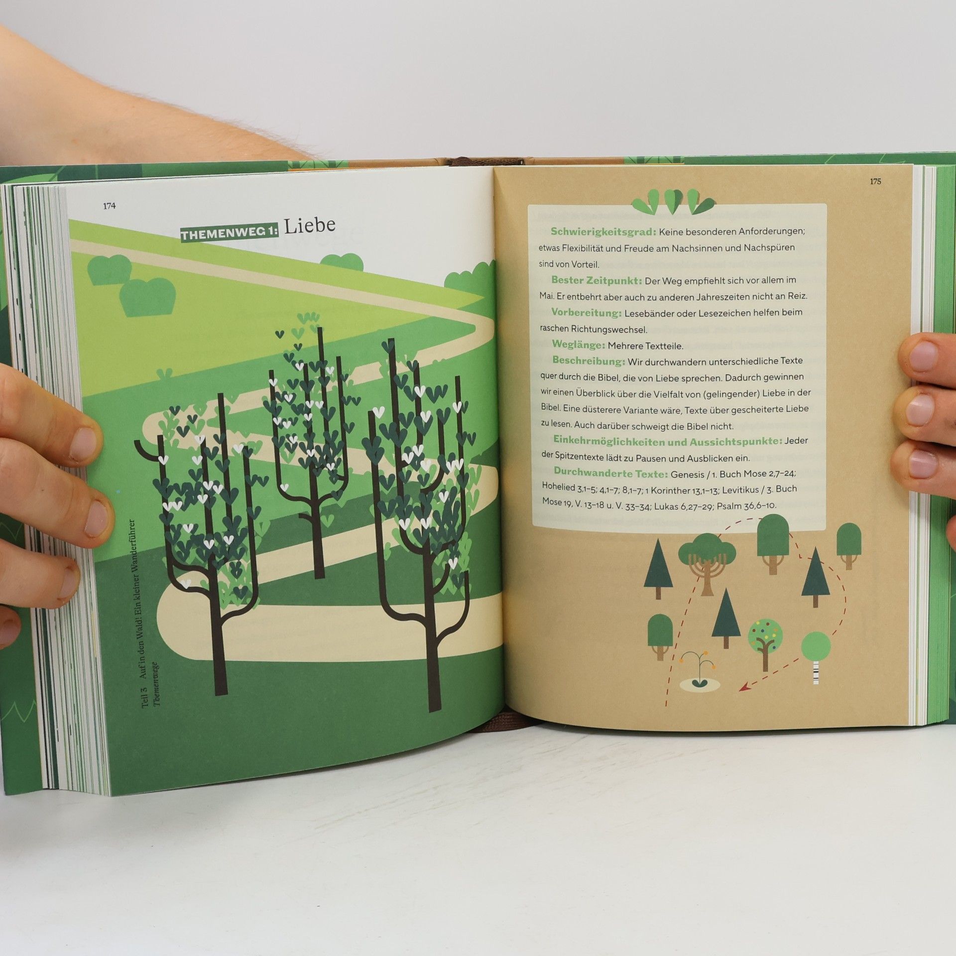 Elisabeth Birnbaum Wege durch den Bibelwald