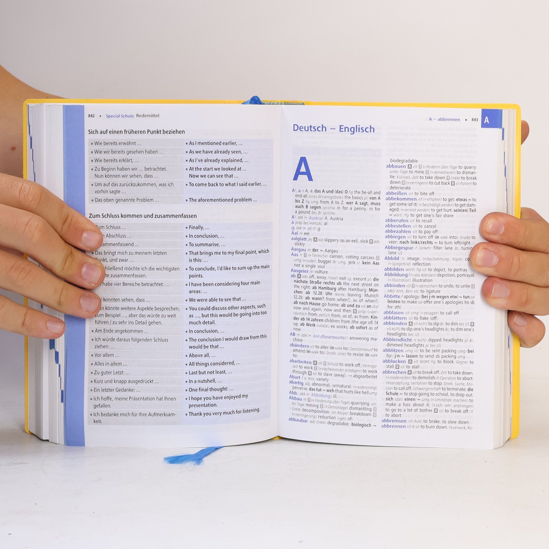 Kolektív autorov Großes Schulwörterbuch Plus Englisch