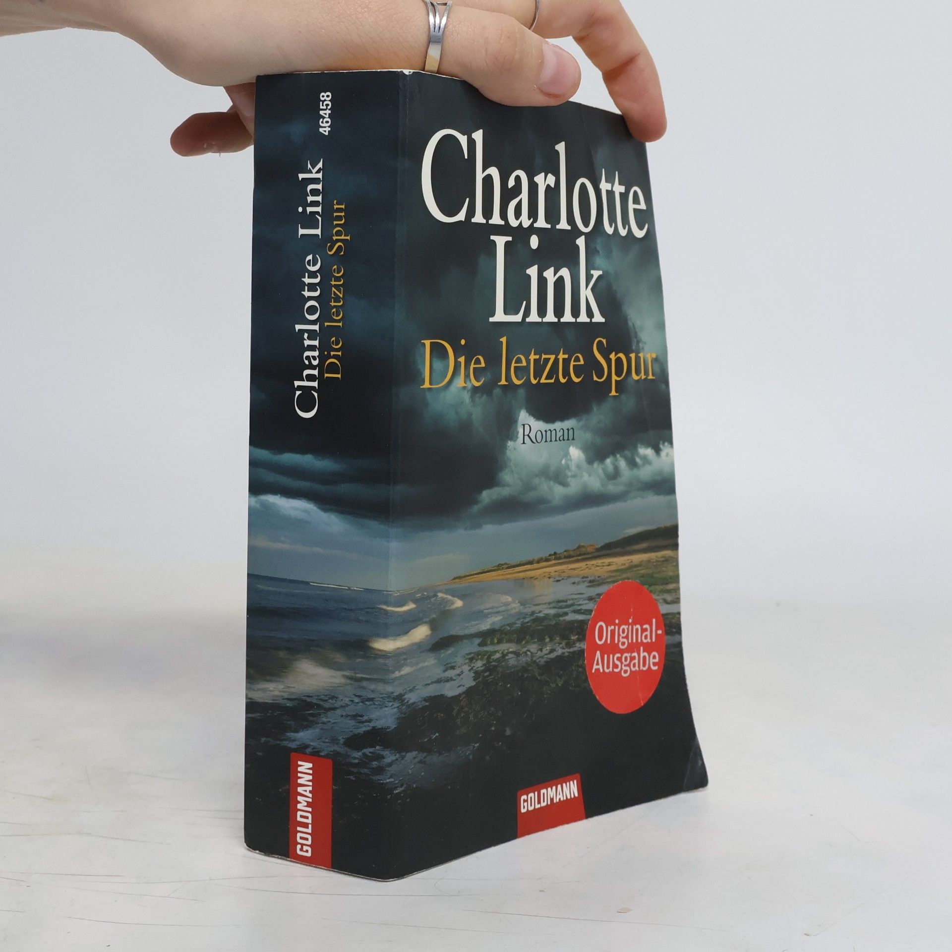 Charlotte Link Die letzte Spur