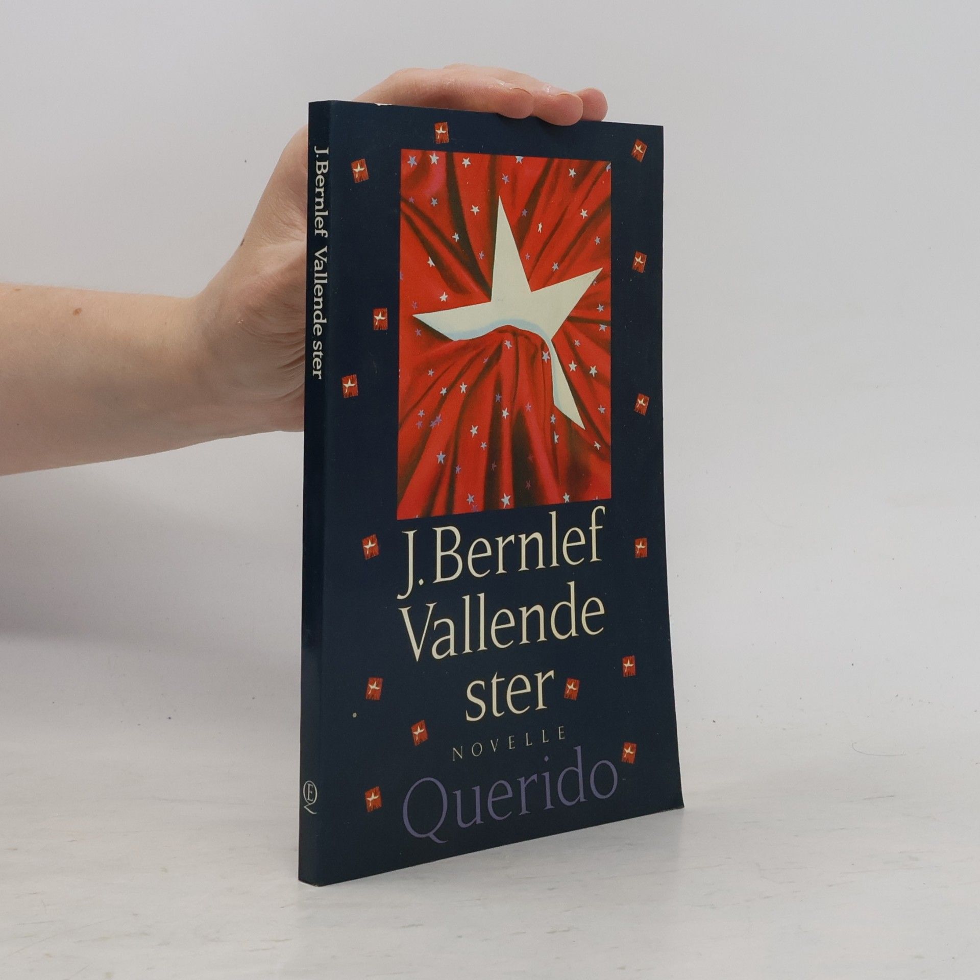 J. Bernlef Vallende ster