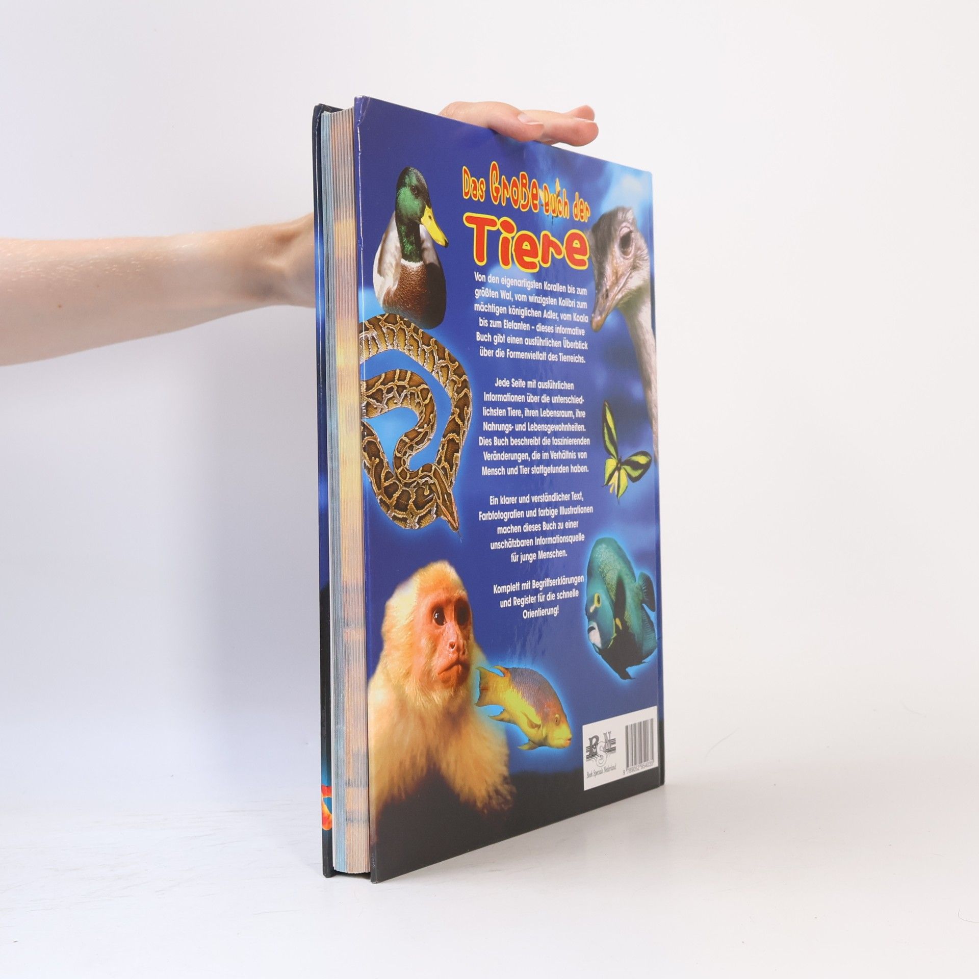 Daniela Majerna Das große Buch der Tiere