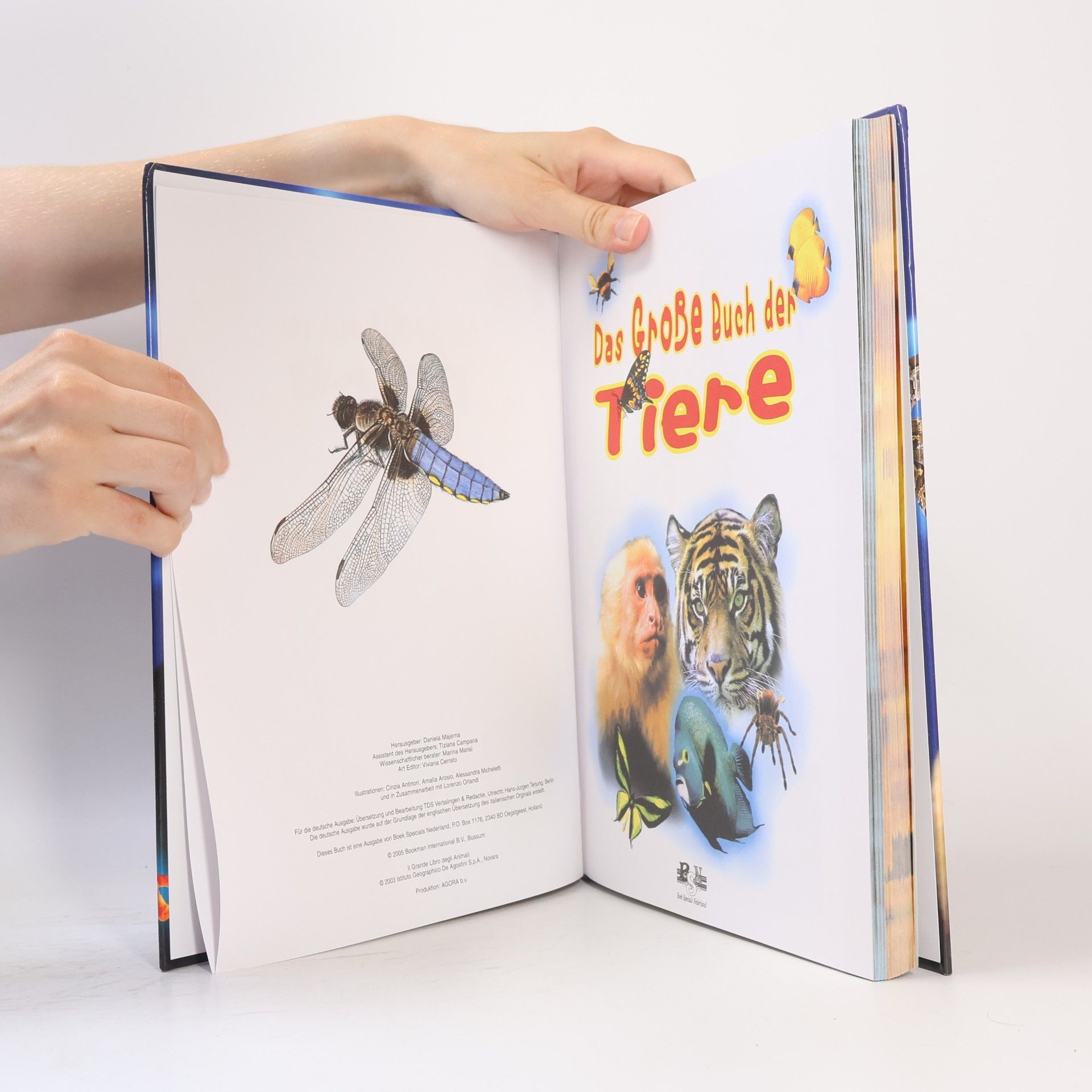 Daniela Majerna Das große Buch der Tiere