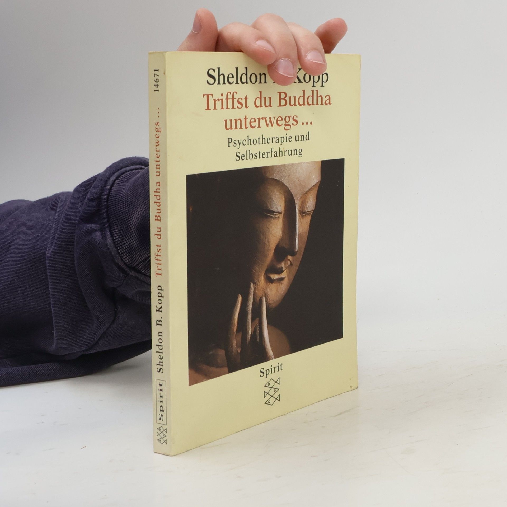 Sheldon B. Kopp Triffst du Buddha unterwegs ...