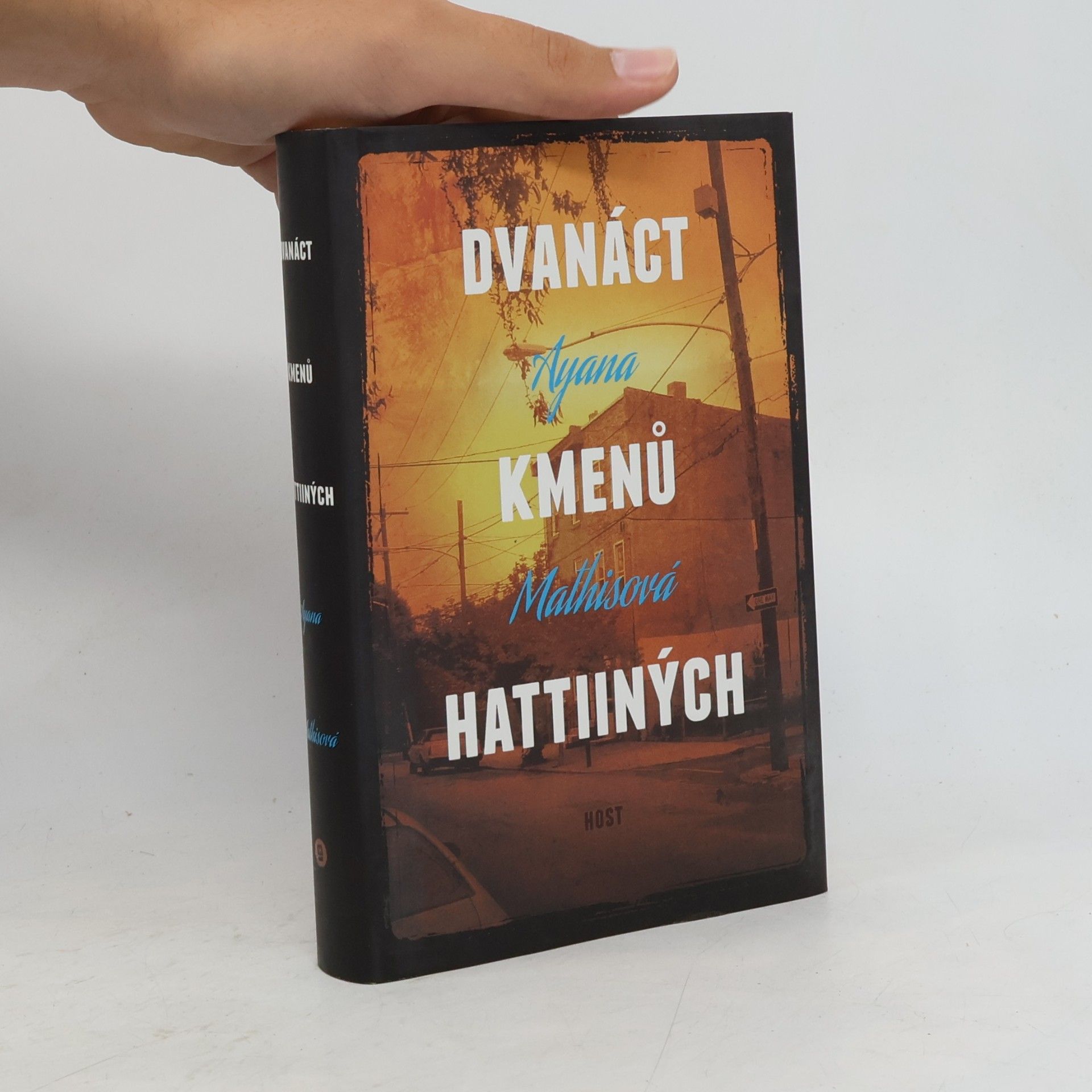 Ayana Mathis Dvanáct kmenů Hattiiných
