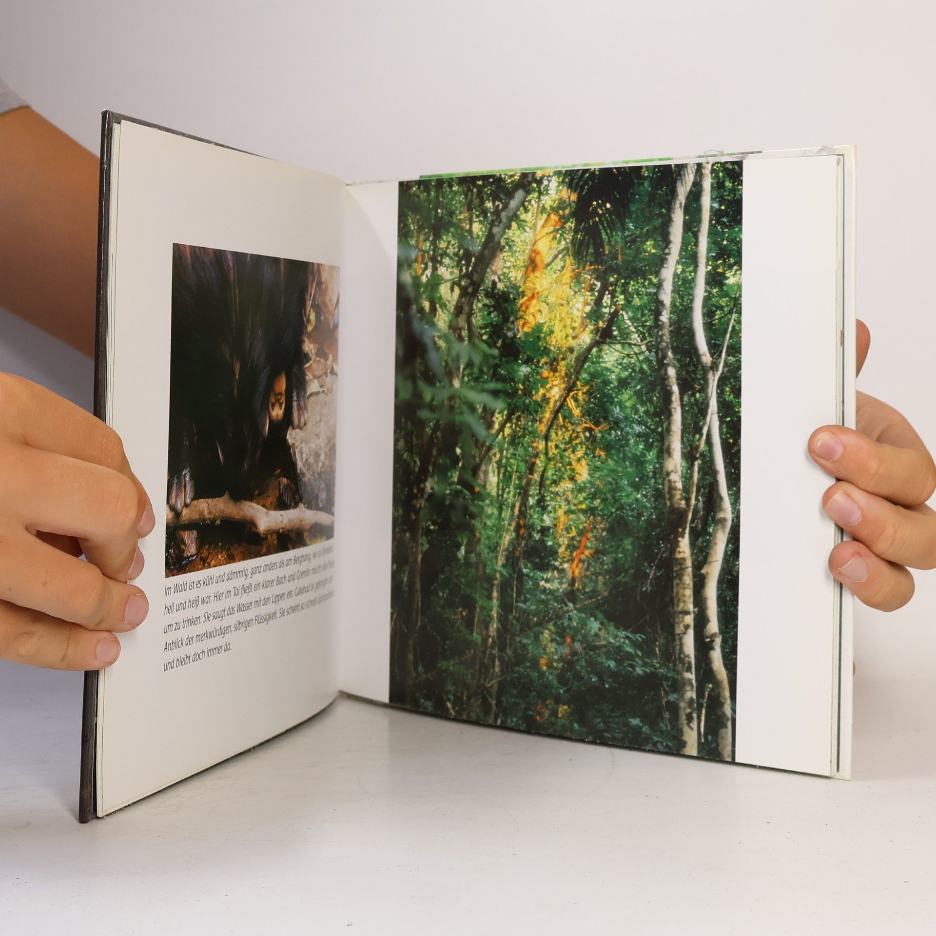 Jane Goodall Das Schimpansen-Kinder-Buch