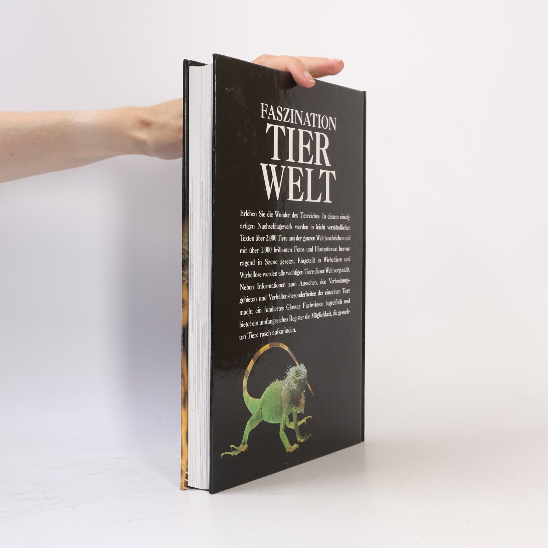 Autorenkollektiv Faszination. Tierwelt