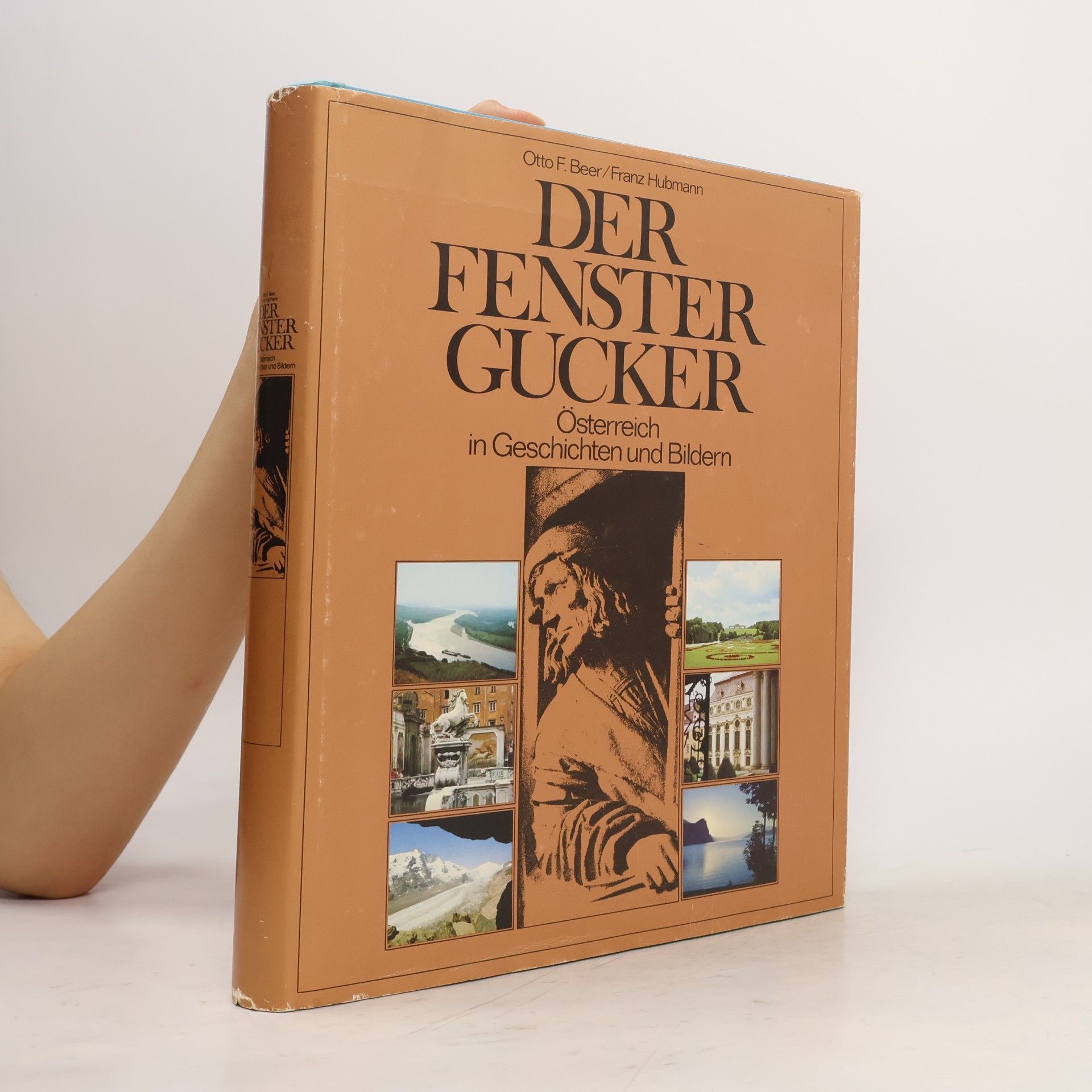 Der Fenster Gucker