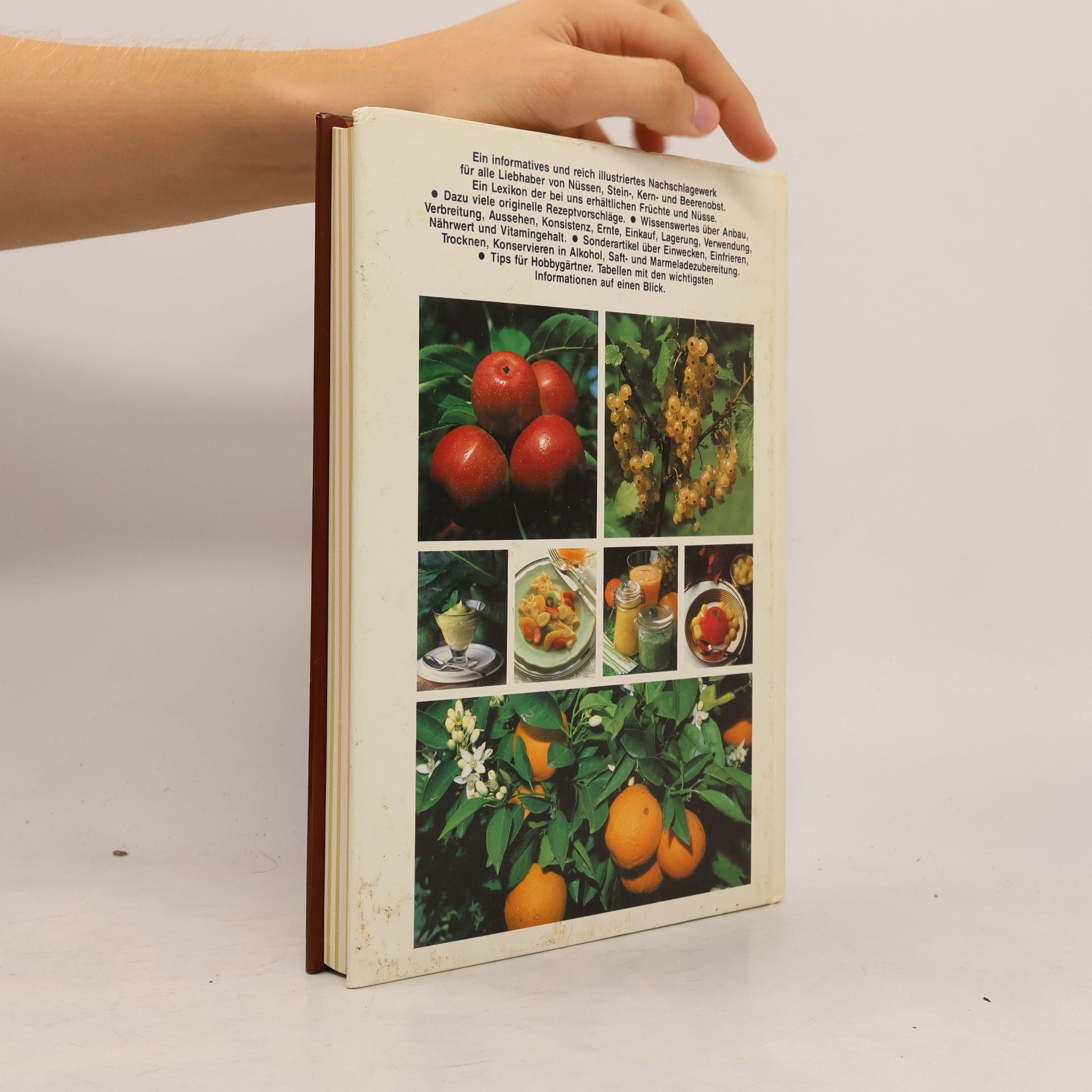 Autores varios Obst und Früchte Von A-Z