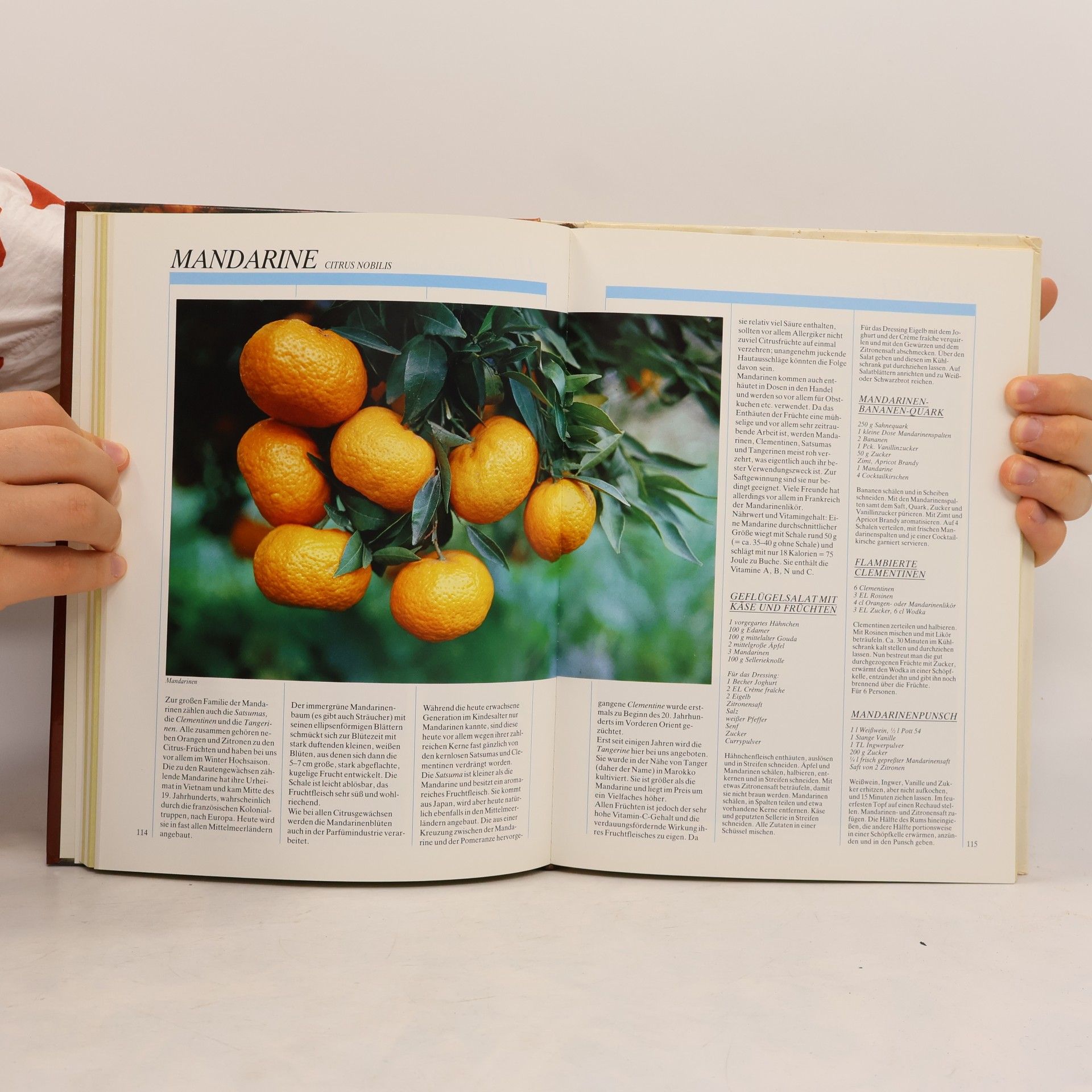 Autores varios Obst und Früchte Von A-Z