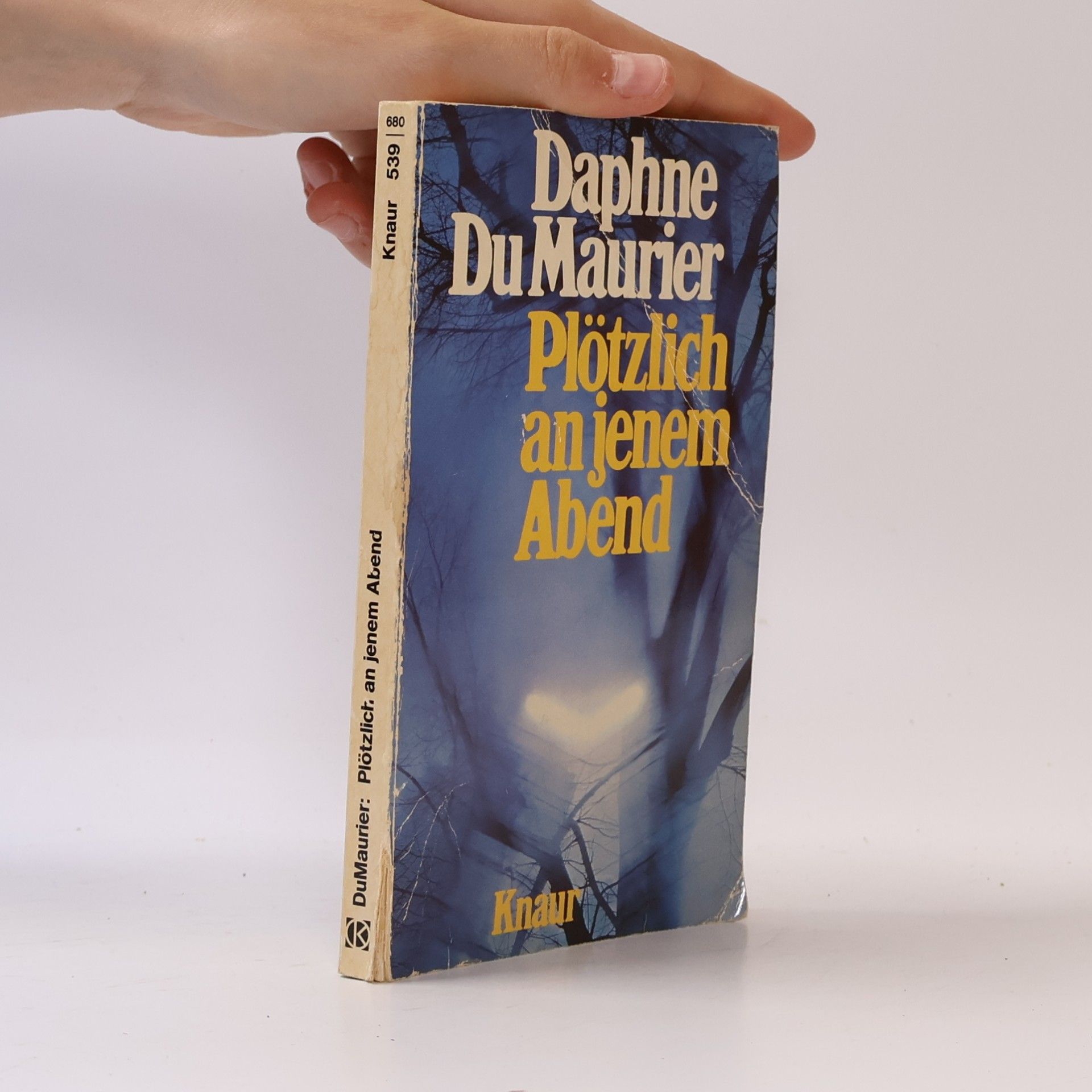 Daphne du Maurier Plötzlich an jenem Abend