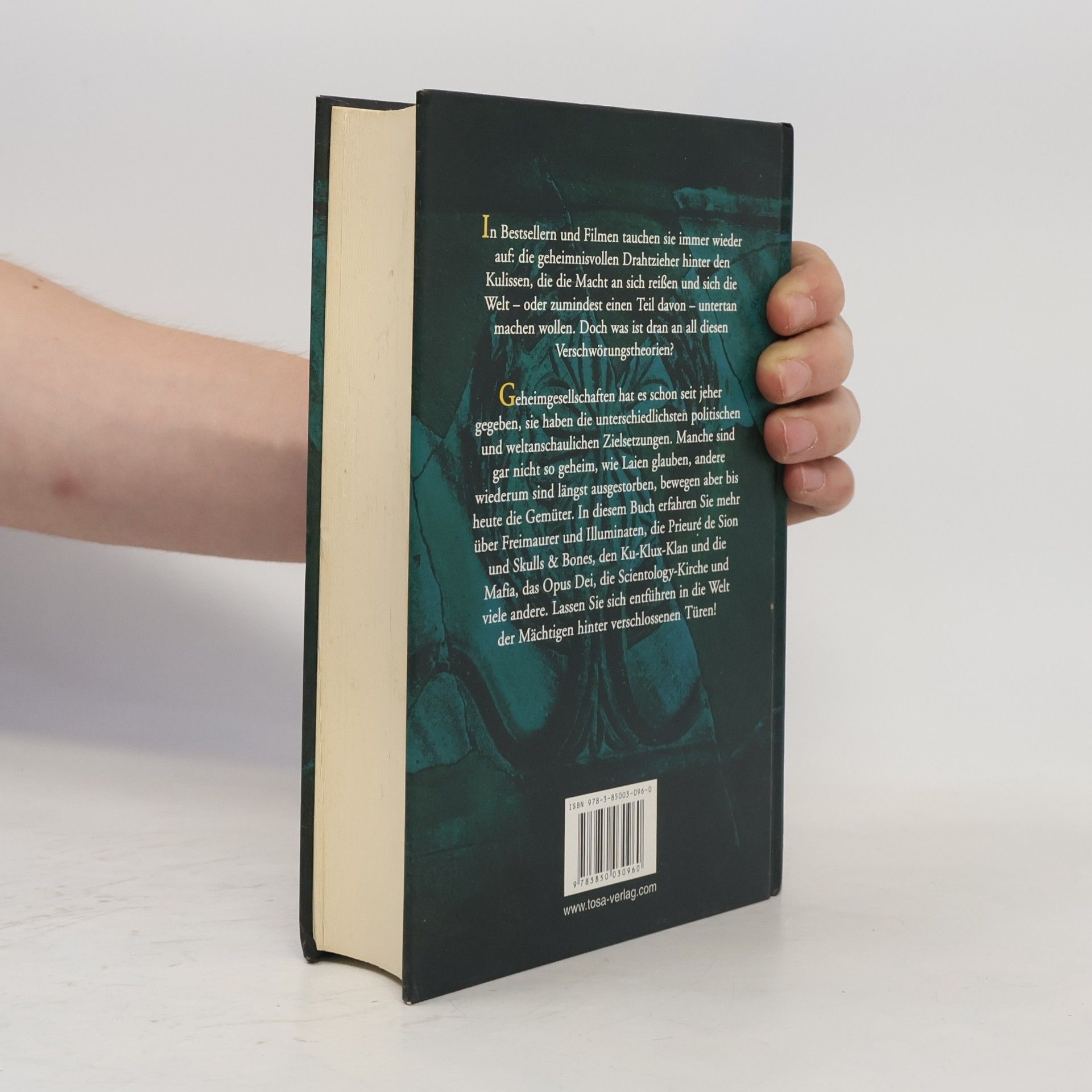 Caroline Klima Das große Handbuch der Geheimgesellschaften