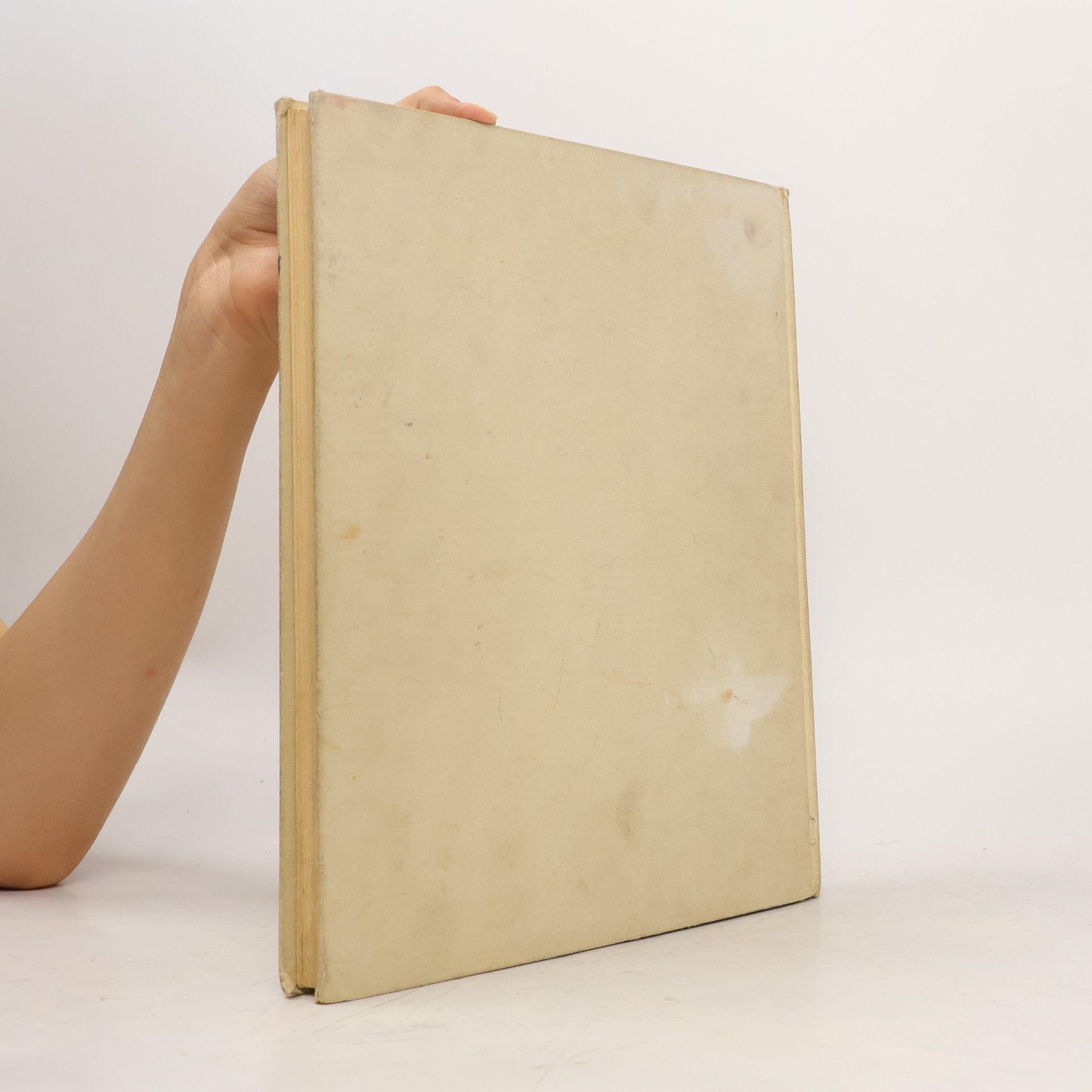 Ann Tizia Leitich Wiener Biedermeier
