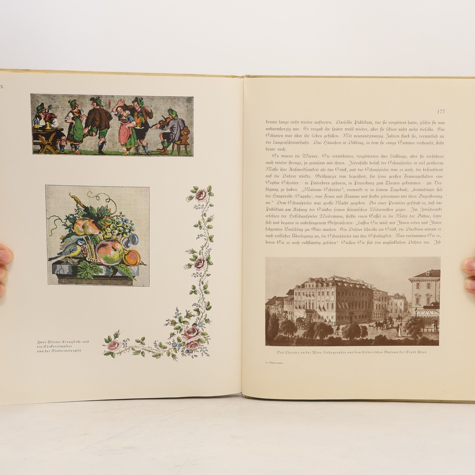 Ann Tizia Leitich Wiener Biedermeier