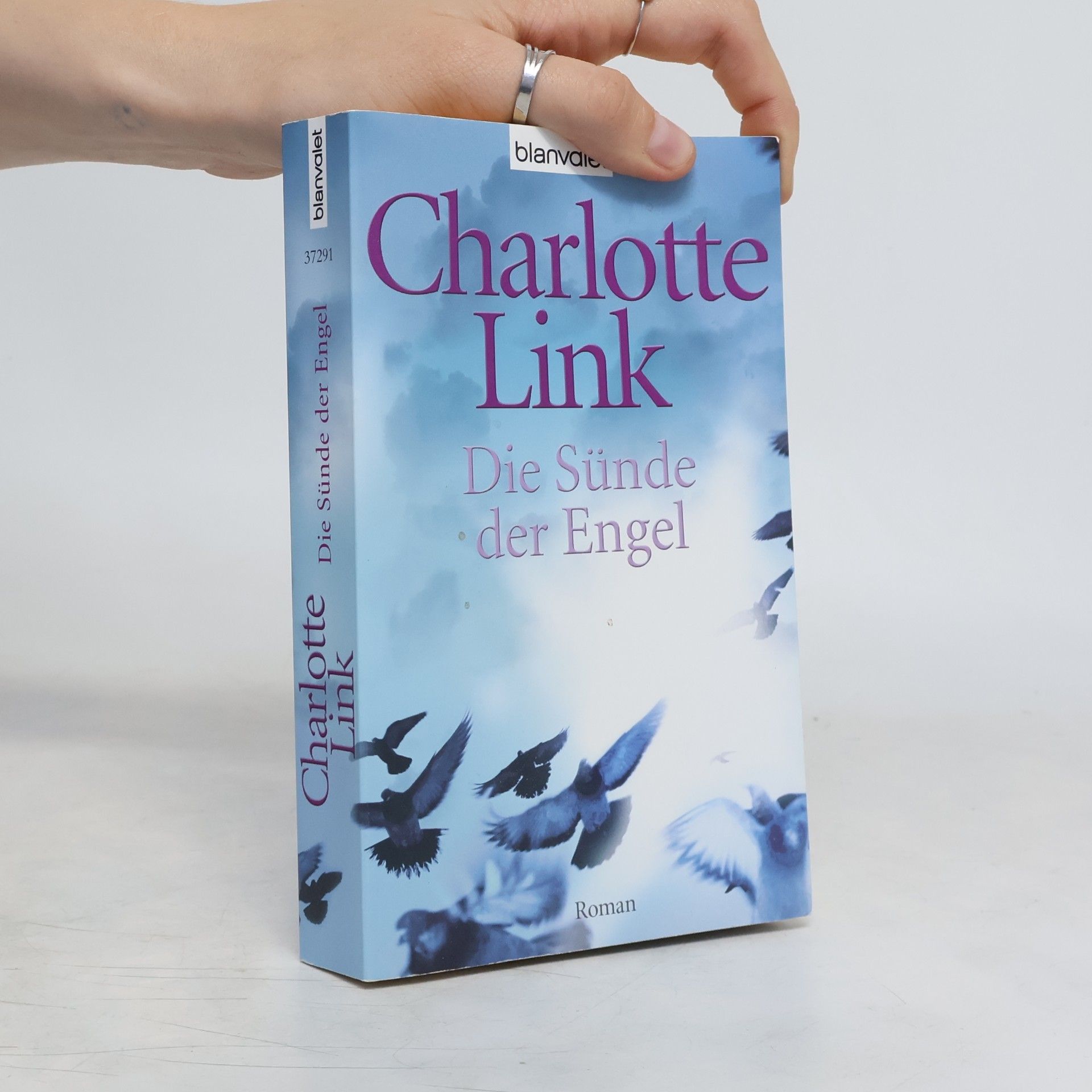 Charlotte Link Die Sünde der Engel