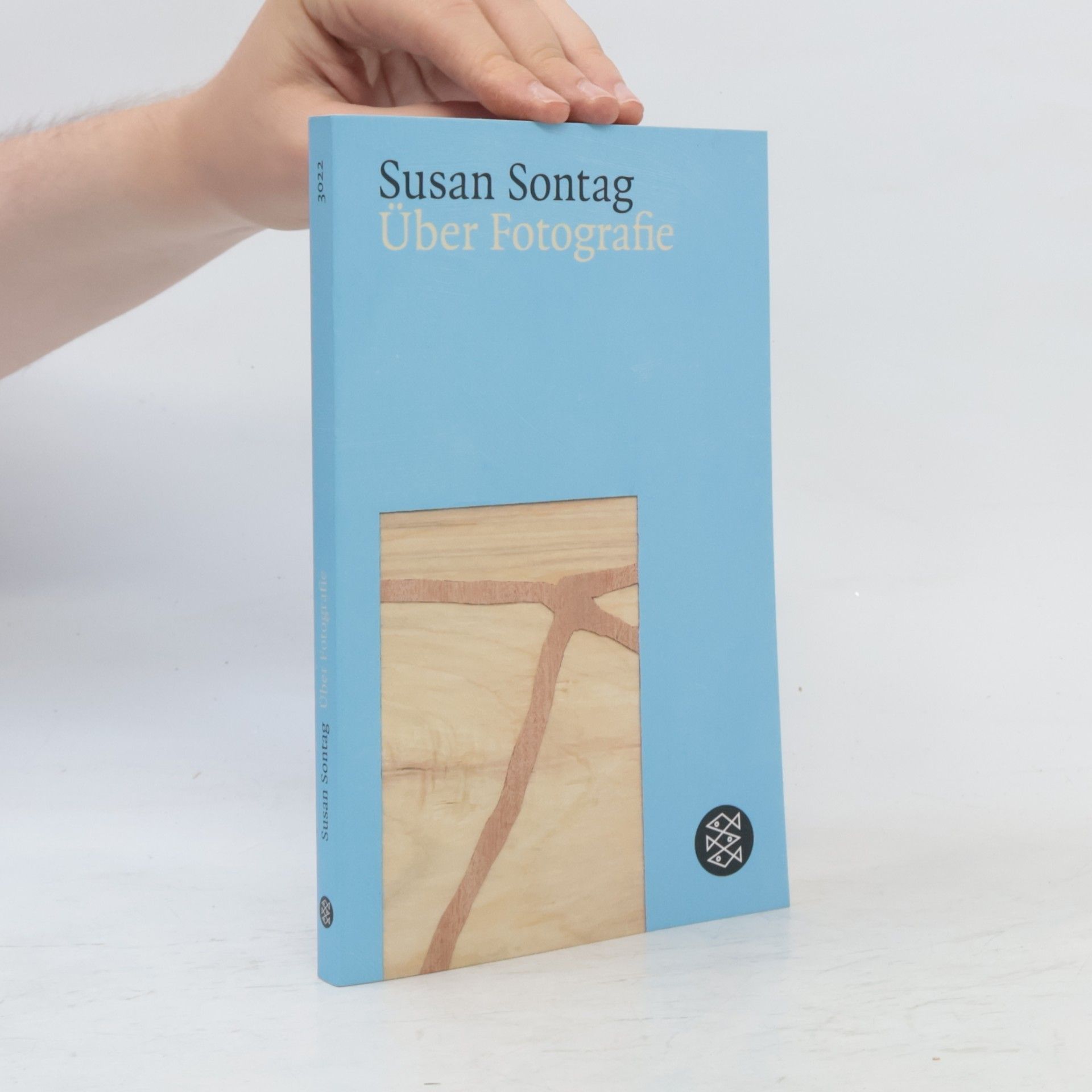 Susan Sontag Über Fotografie
