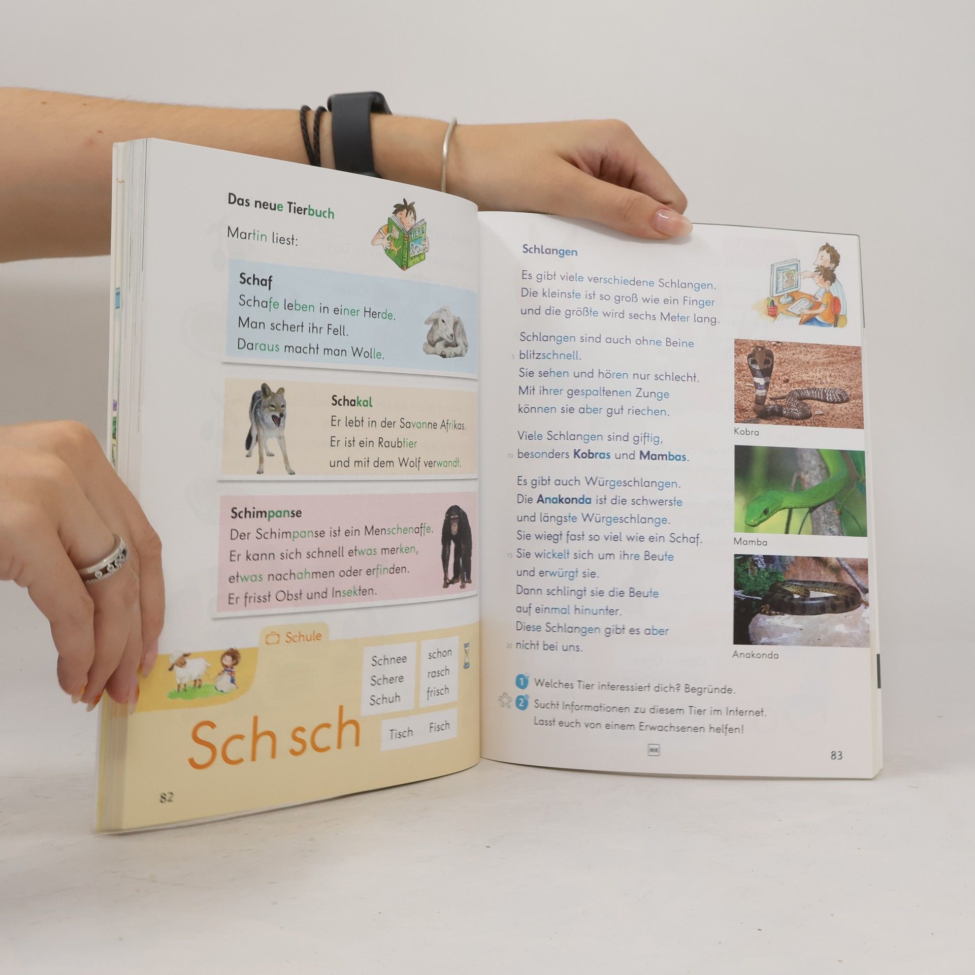 Gisela Eckl Frohes Lernen Deutsch, Leselehrgang Druckschrift mit Lauttabelle