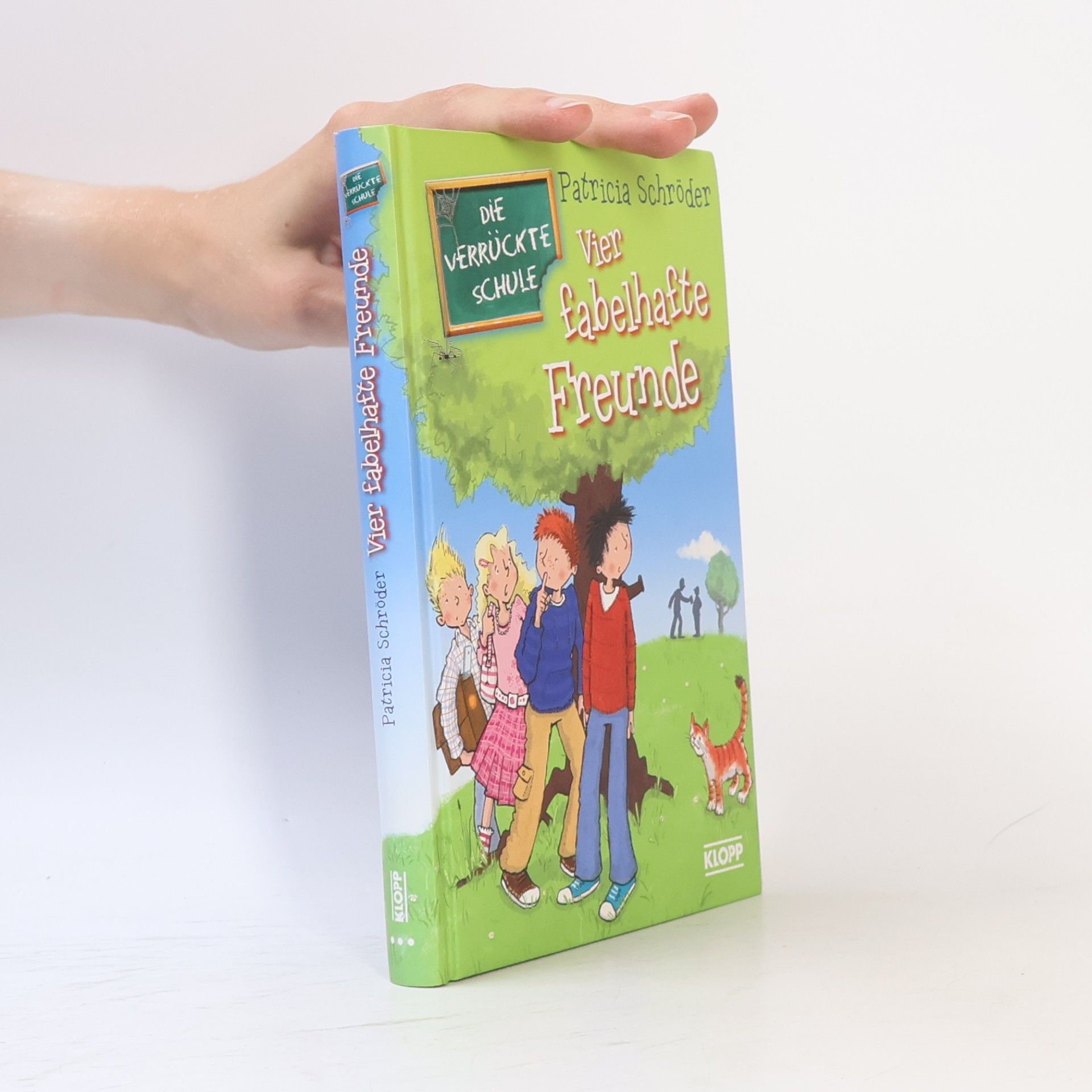 Thorsten Saleina Die Verrückte Schule - Vier fabelhafte Freunde