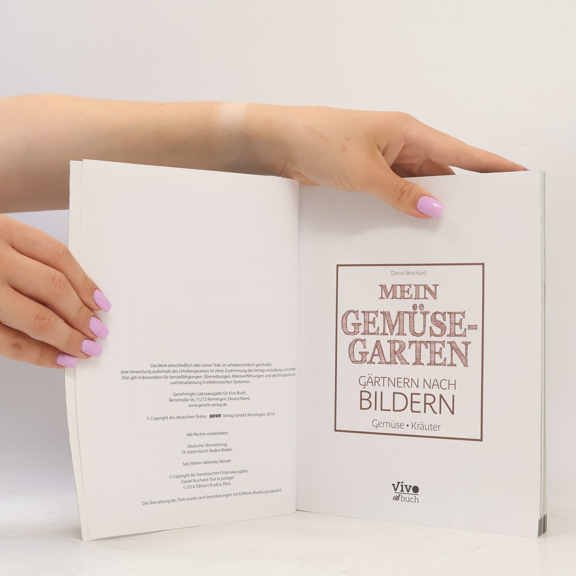 Daniel Brochard Mein Gemüsegarten - Gärtnern nach Bildern