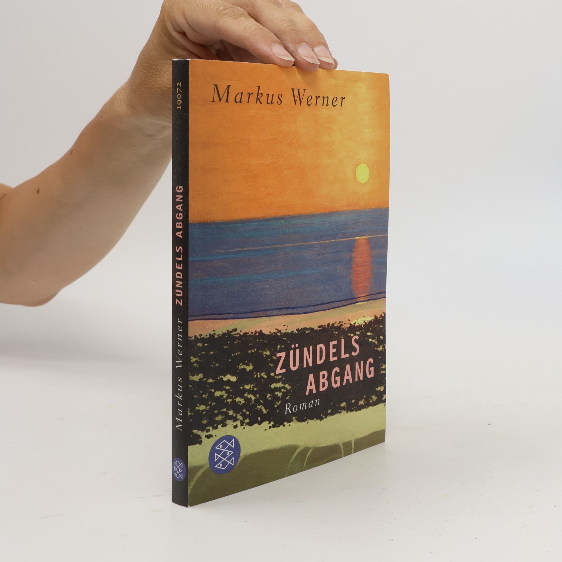 Markus Werner Zündels Abgang