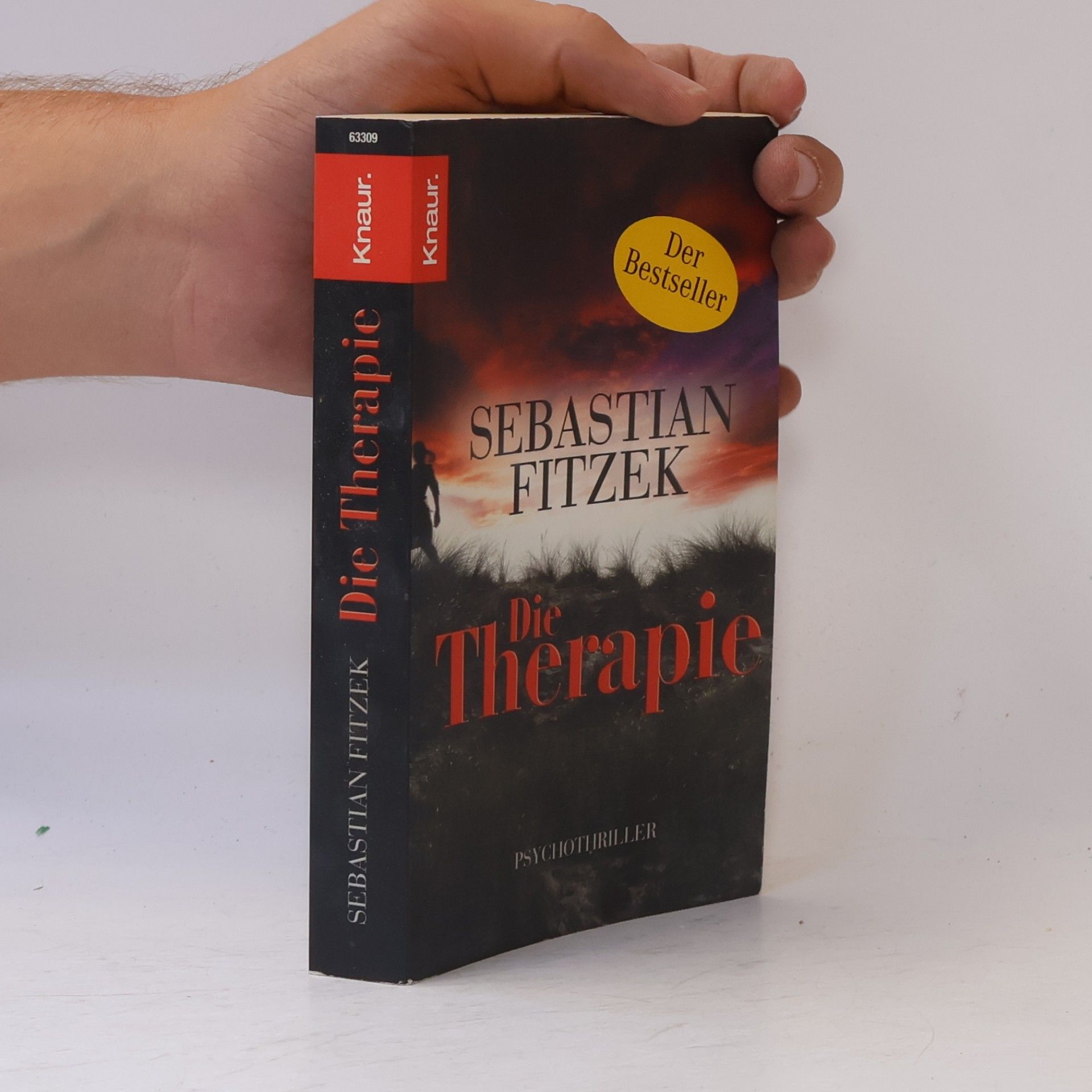 Sebastian Fitzek Die Therapie