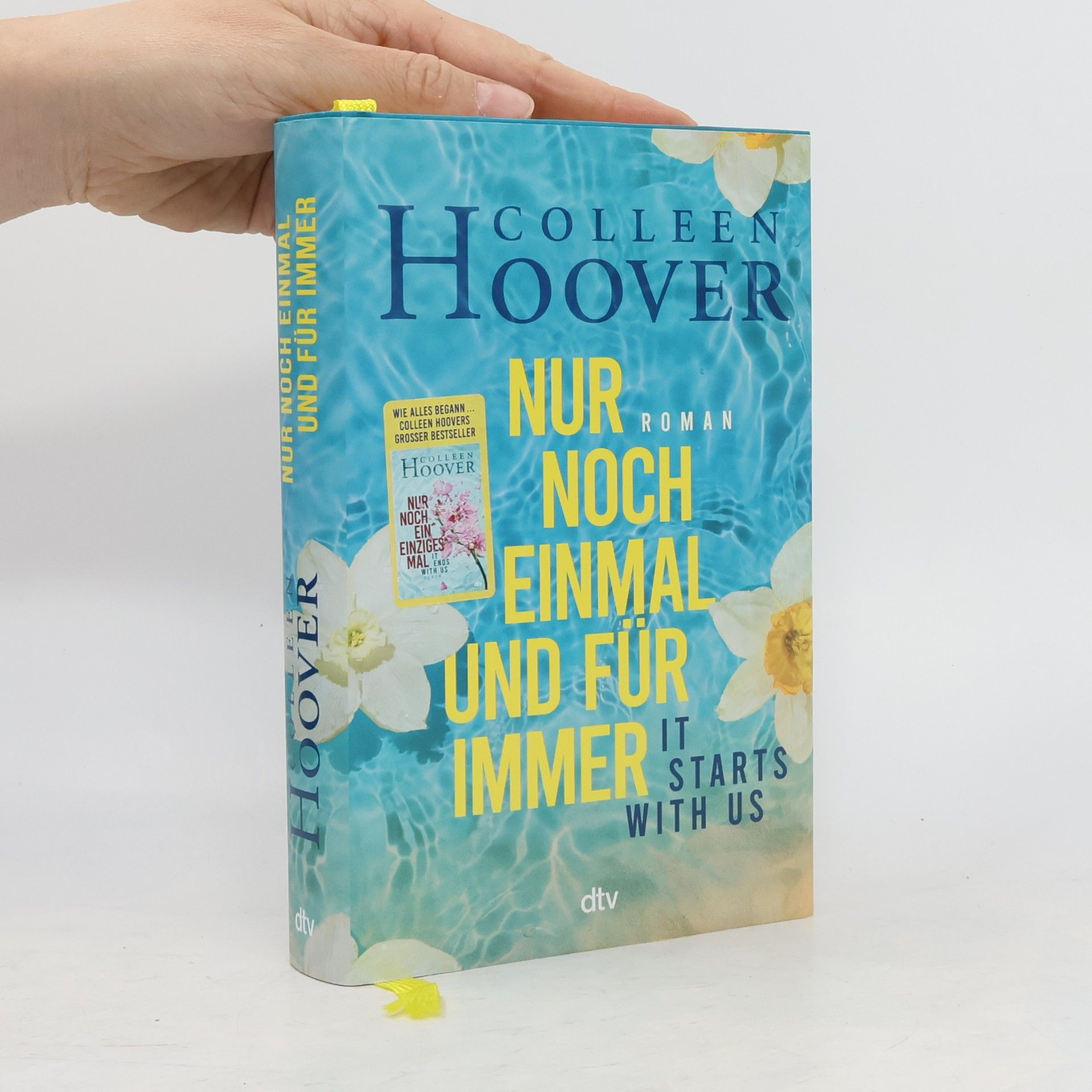 Colleen Hoover Nur noch einmal und für immer