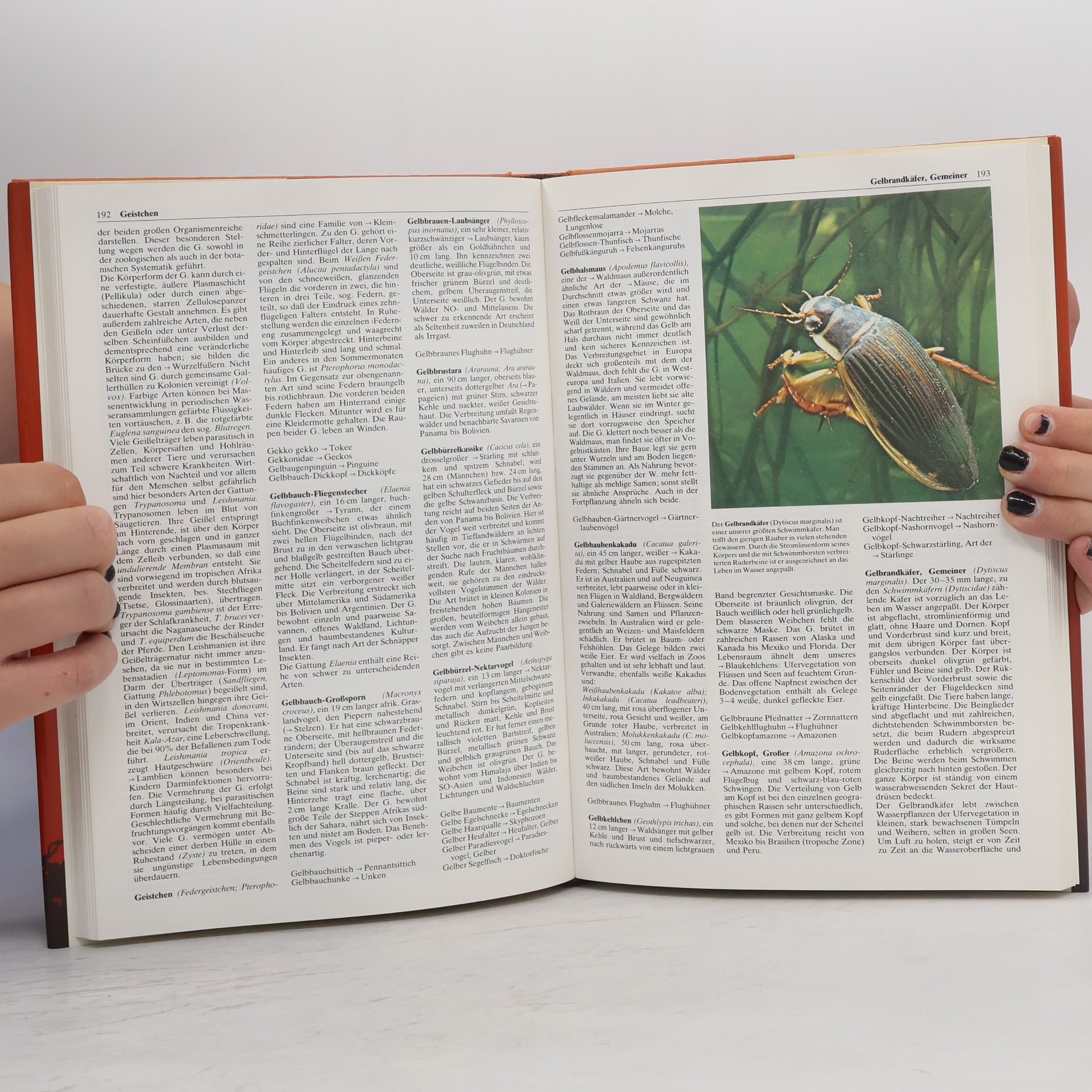 Gerd Diesselhorst Knaurs Tierleben von A-Z 1
