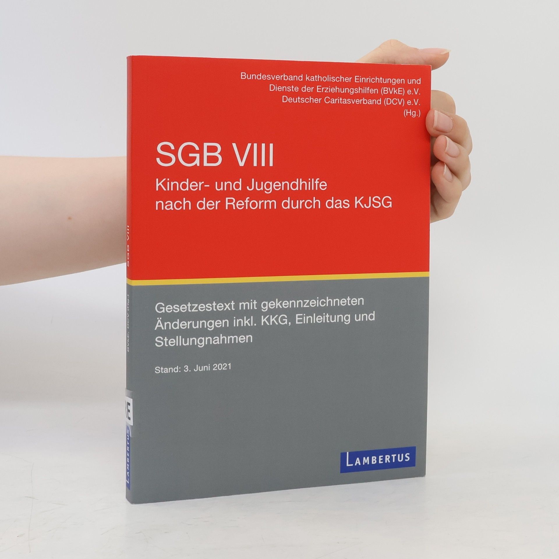 Bvke SGB VIII - Kinder- und Jugendhilfe nach der Reform durch das KJSG