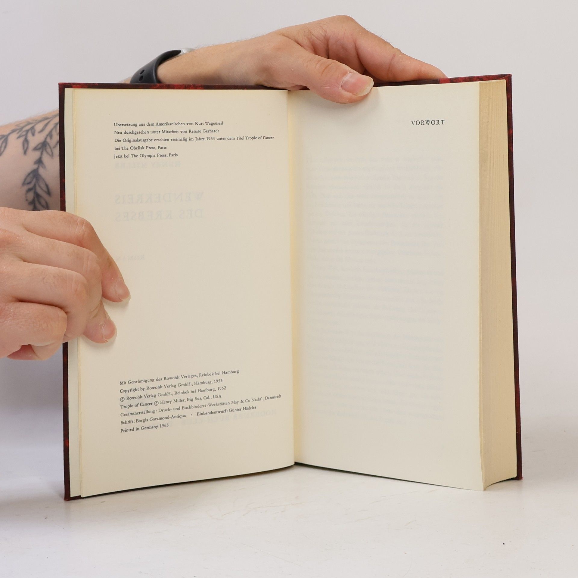 Henry Miller Wendekreis des Krebses
