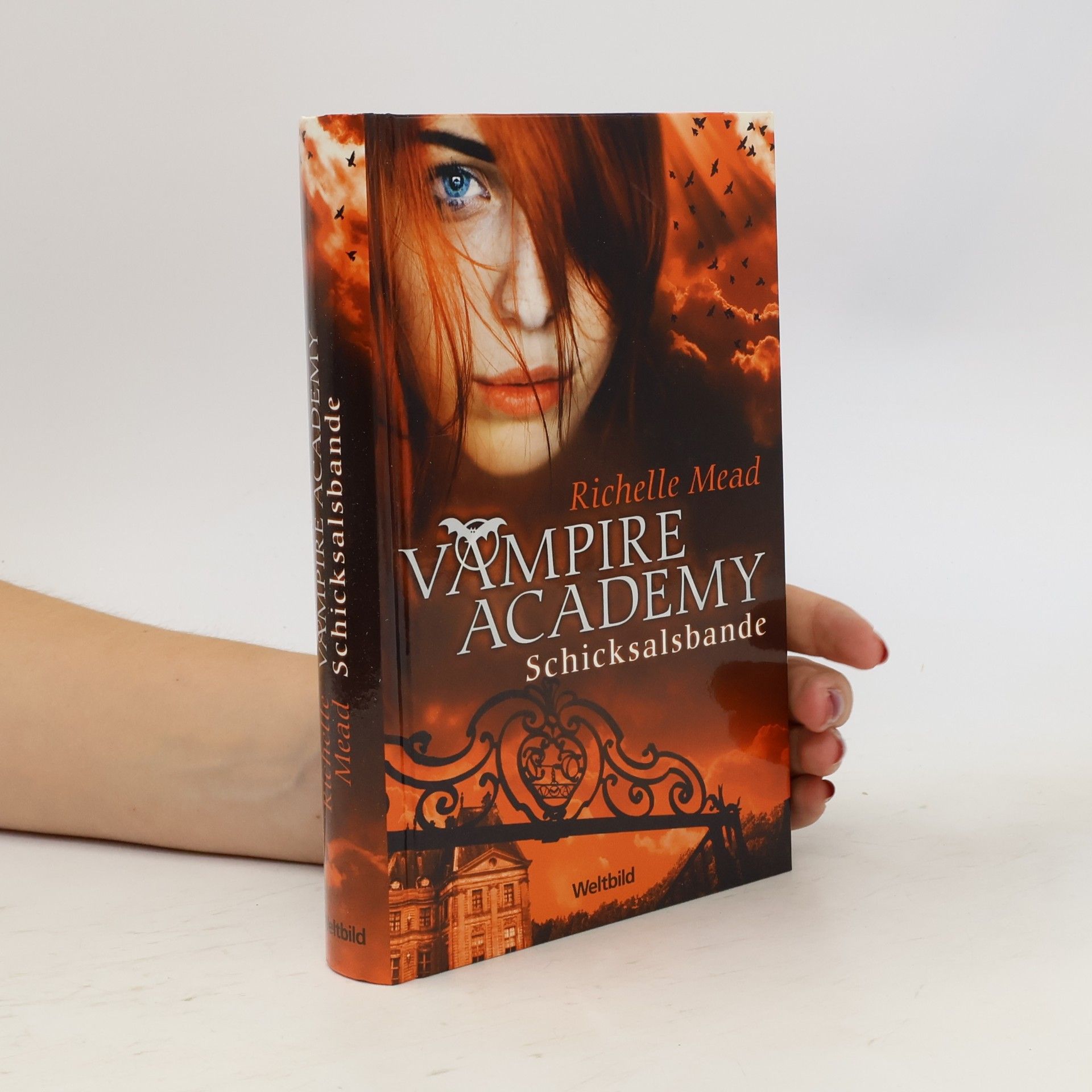 Richelle Mead Vampire Academy. Schicksalsbande