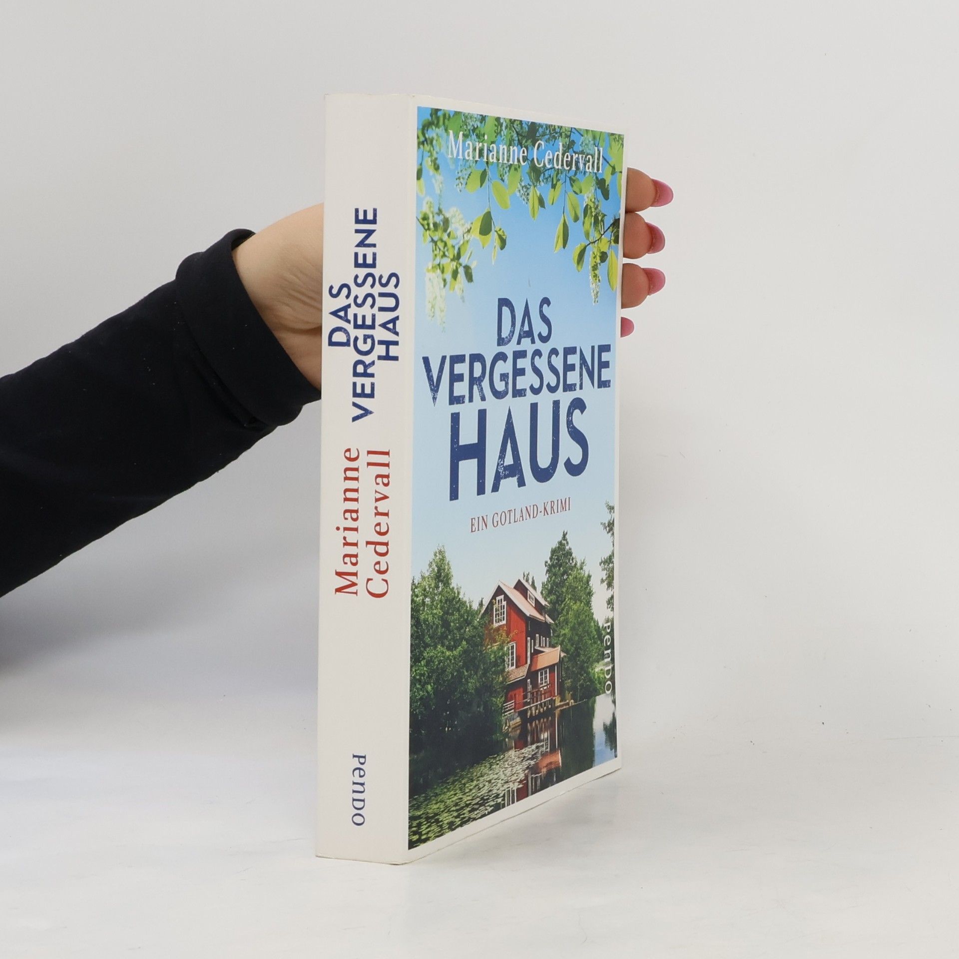 Marianne Cedervall Das vergessene Haus