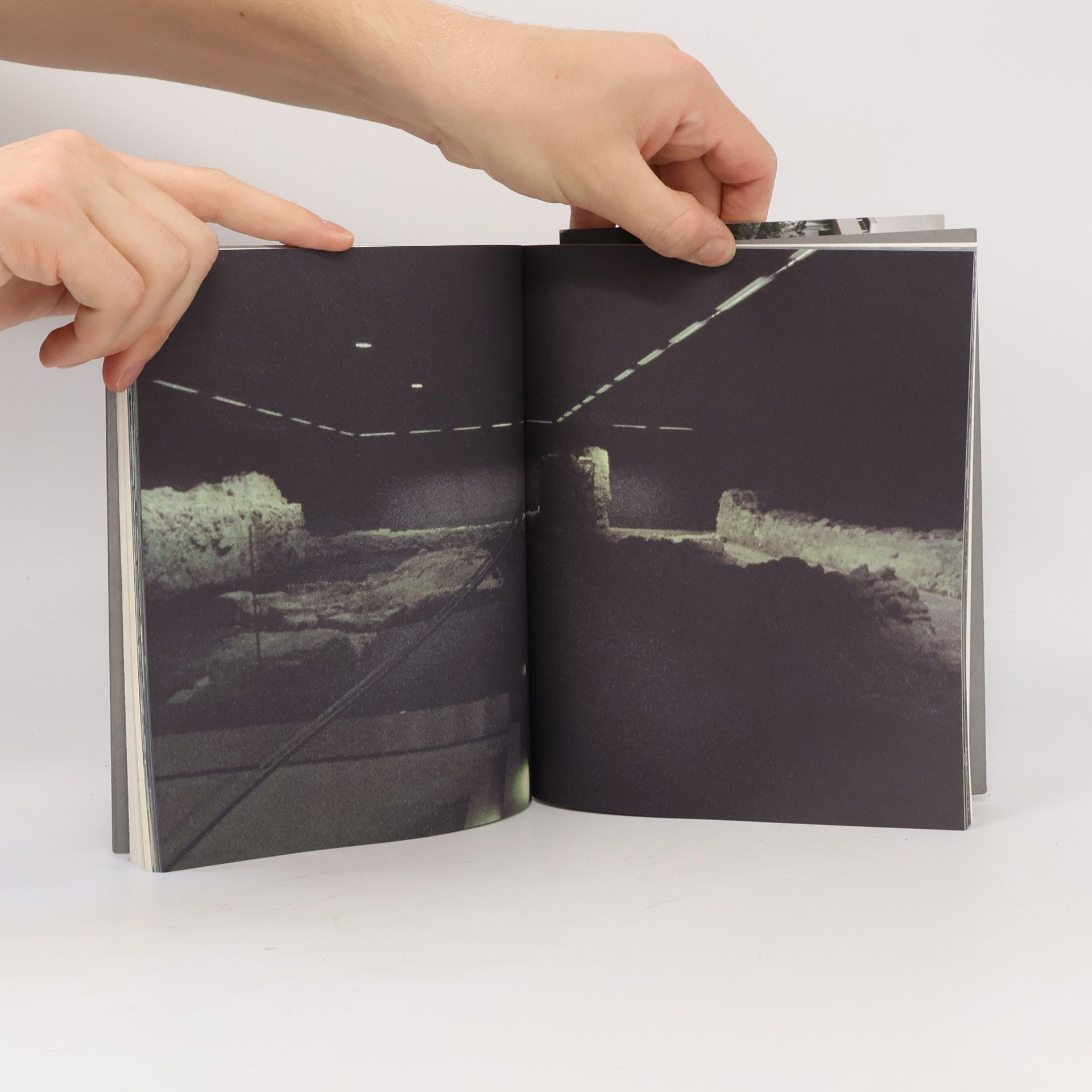 Susanne Jaeger Transmodernity