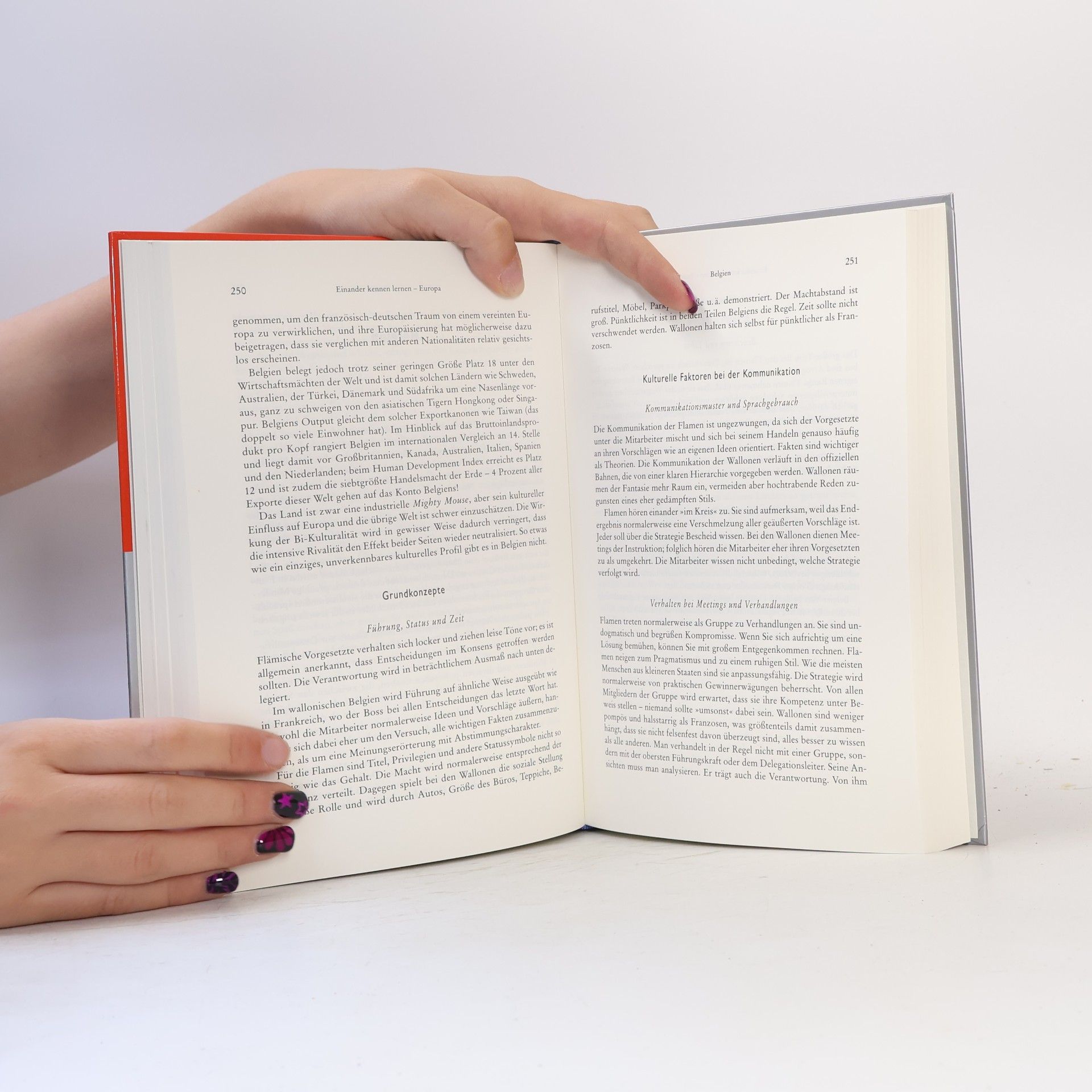 Richard D. Lewis Handbuch internationale Kompetenz