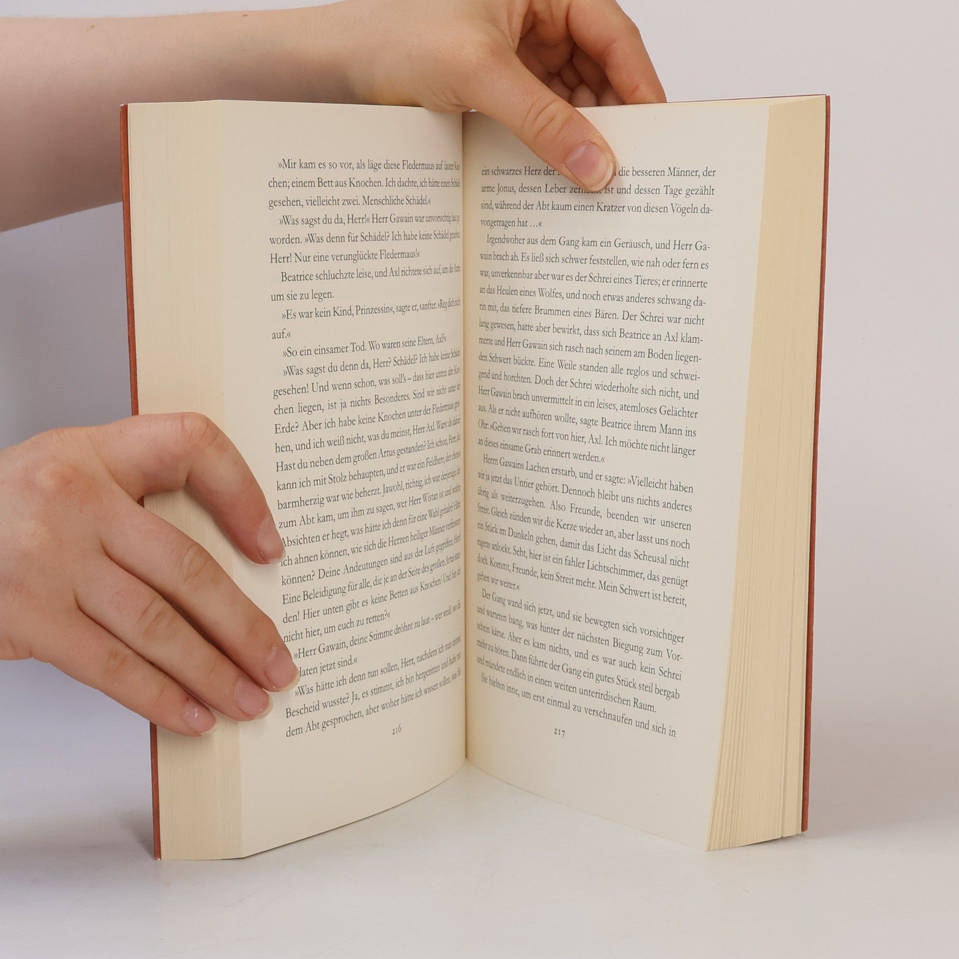 Kazuo Ishiguro Der begrabene Riese