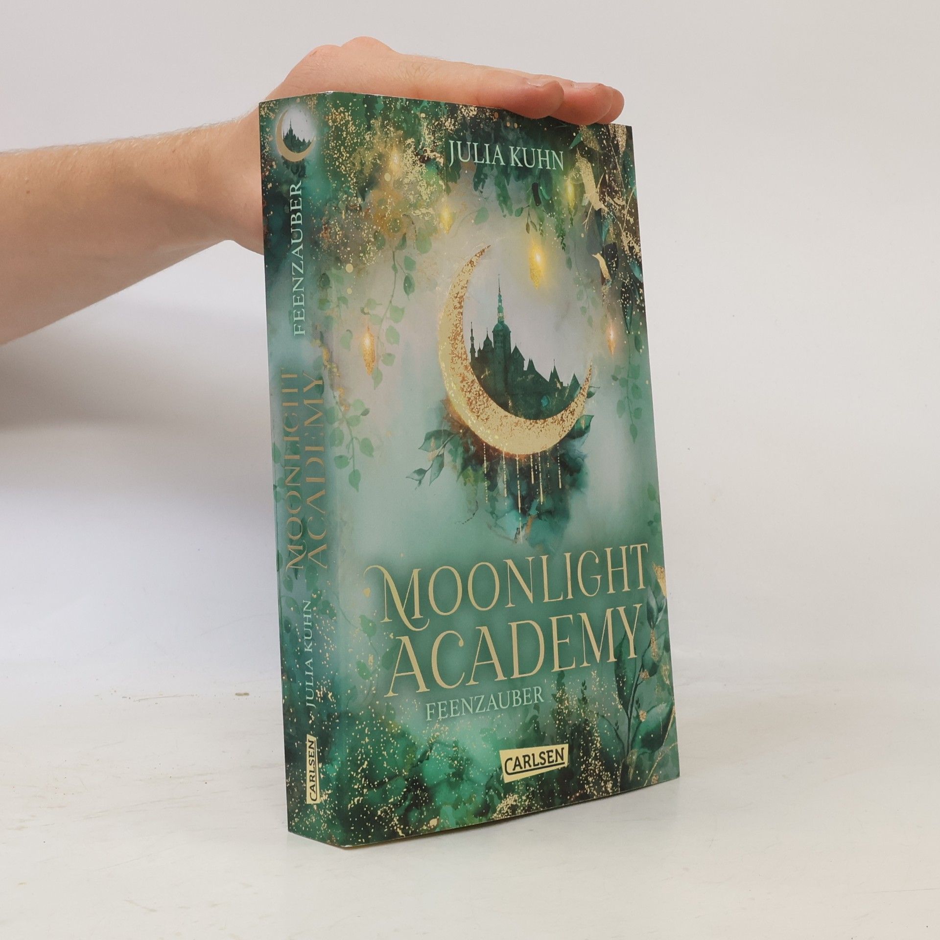 Julia Kuhn Moonlight Academy. Feenzauber