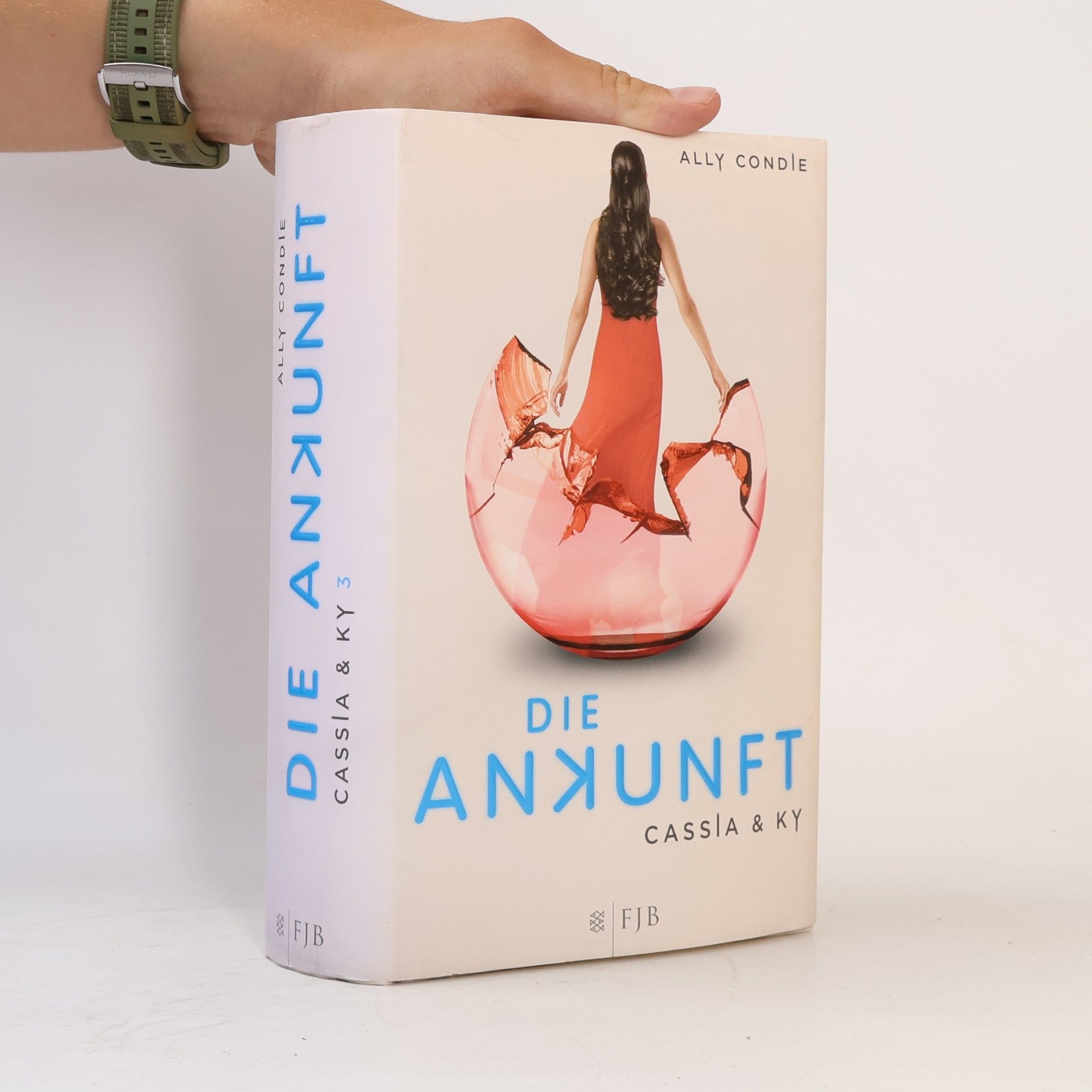 Ally Condie Die Ankunft