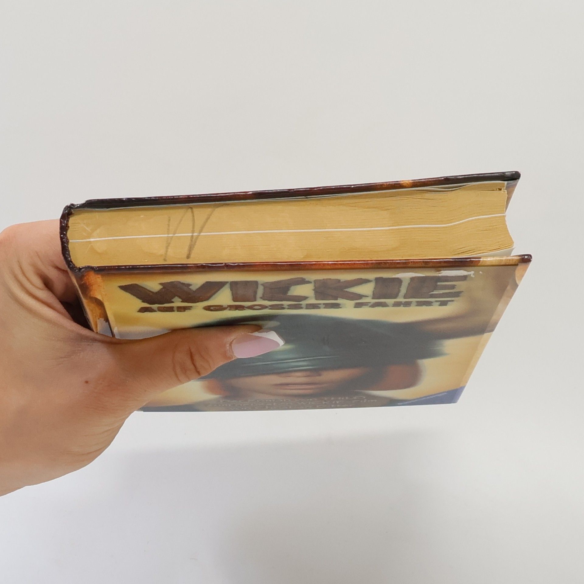 Various authors Wickie auf grosser Fahrt
